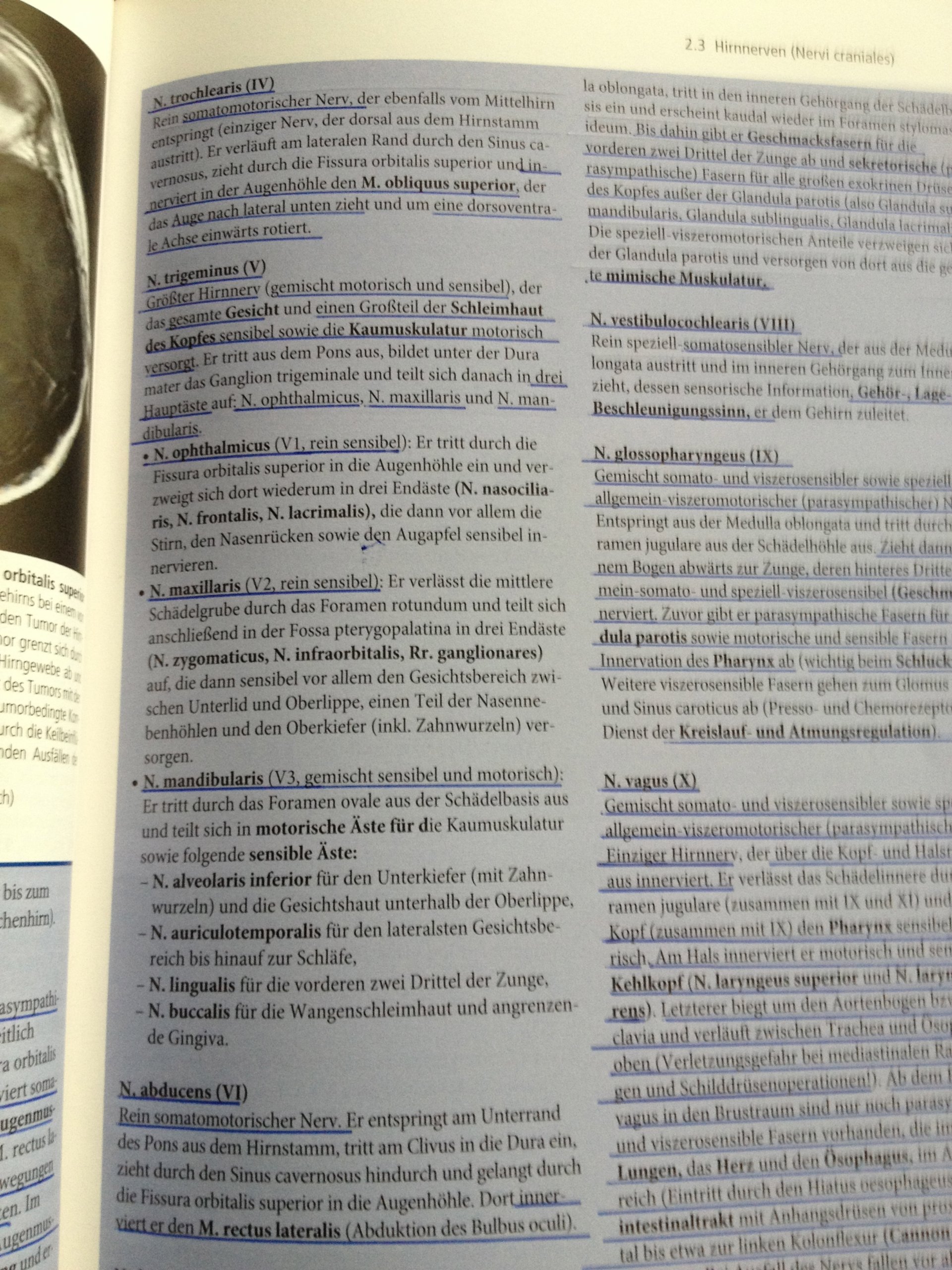 Neuroanatomie: Struktur und Funktion - mit Zugang zum Elsevier-Portal: Struktur und Funktion. Mit dem Plus im Web. Zugangscode im Buch