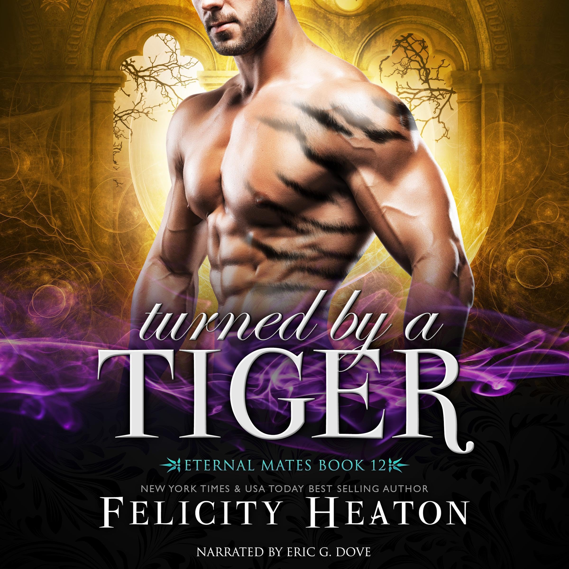 Cover art for Turned by a Tiger