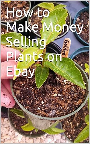 How to Make Money Selling Plants on Ebay