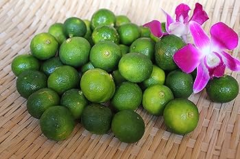 沖縄県産種なしシークヮーサー5kg 沖縄県産 フルーツ 青切りシークワーサー 種無