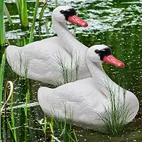 Galashield Chamarizes de cisne para gansos | Chamariz de cisne flutuante para piscina, lago e lago [2 unidades]