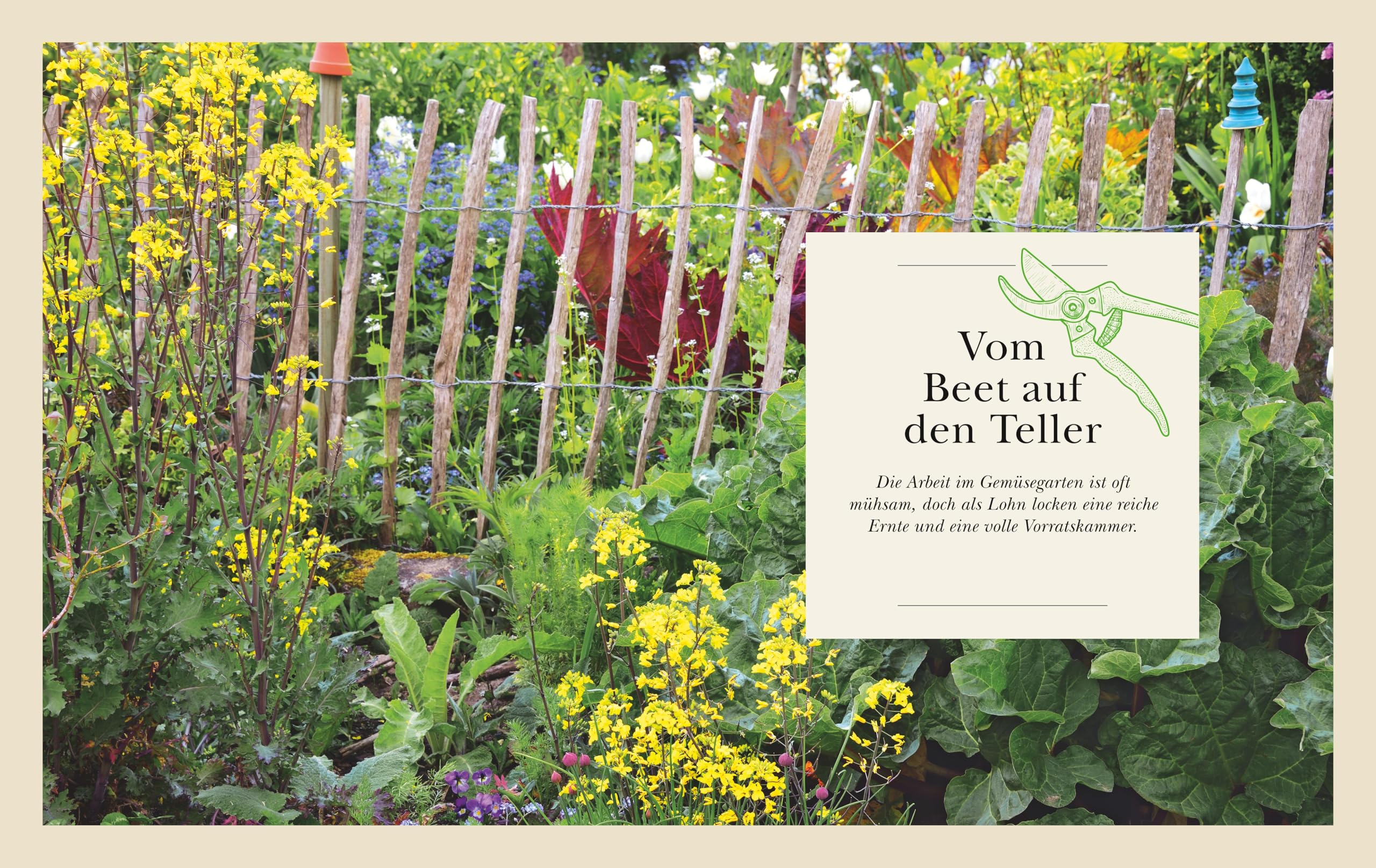 Das große Garten-Gemüse-Buch: Anbauen, Ernten, Haltbarmachen Button: Über 50 beliebte und besondere Sorten entdecken
