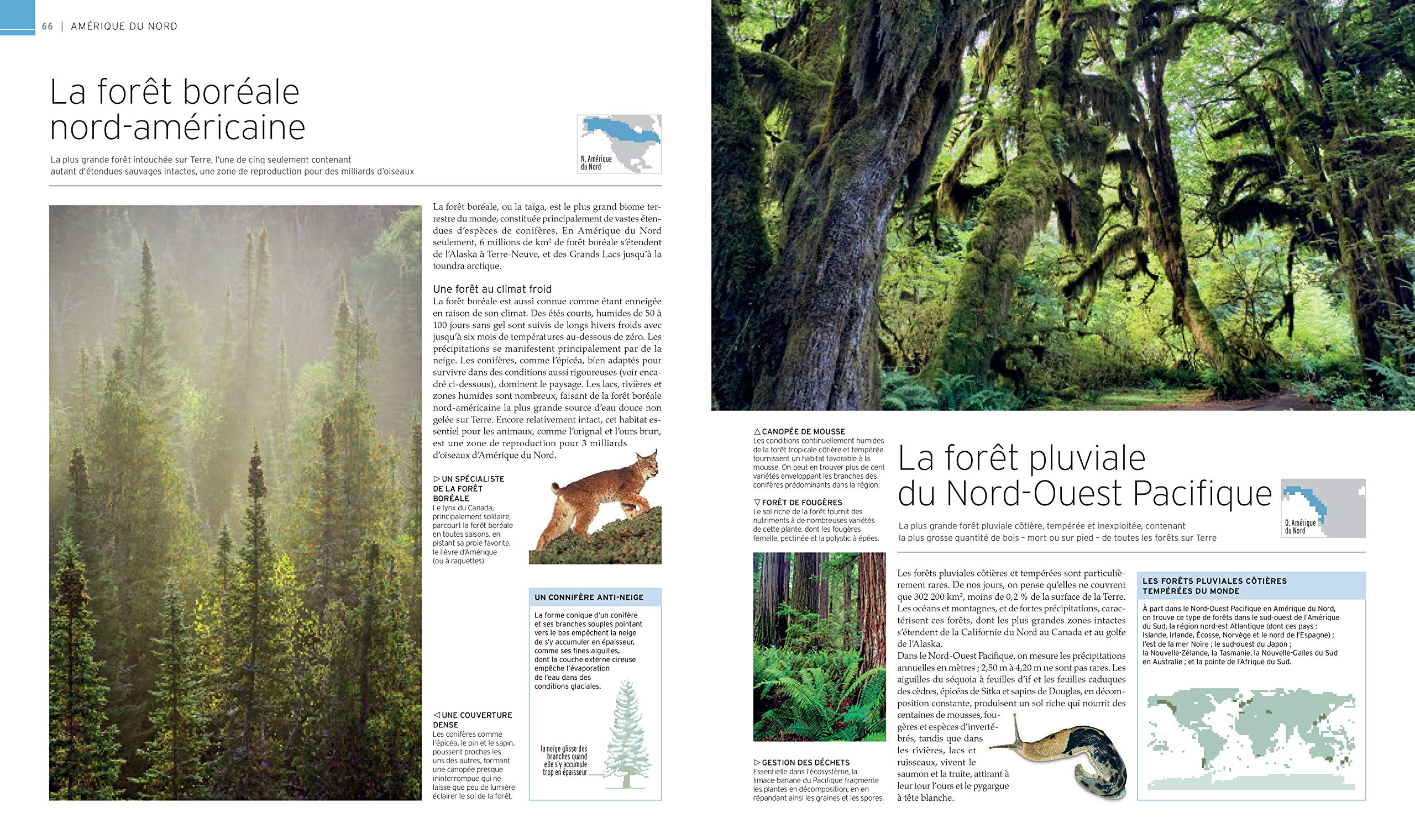 Encyclopédie visuelle des merveilles de la nature