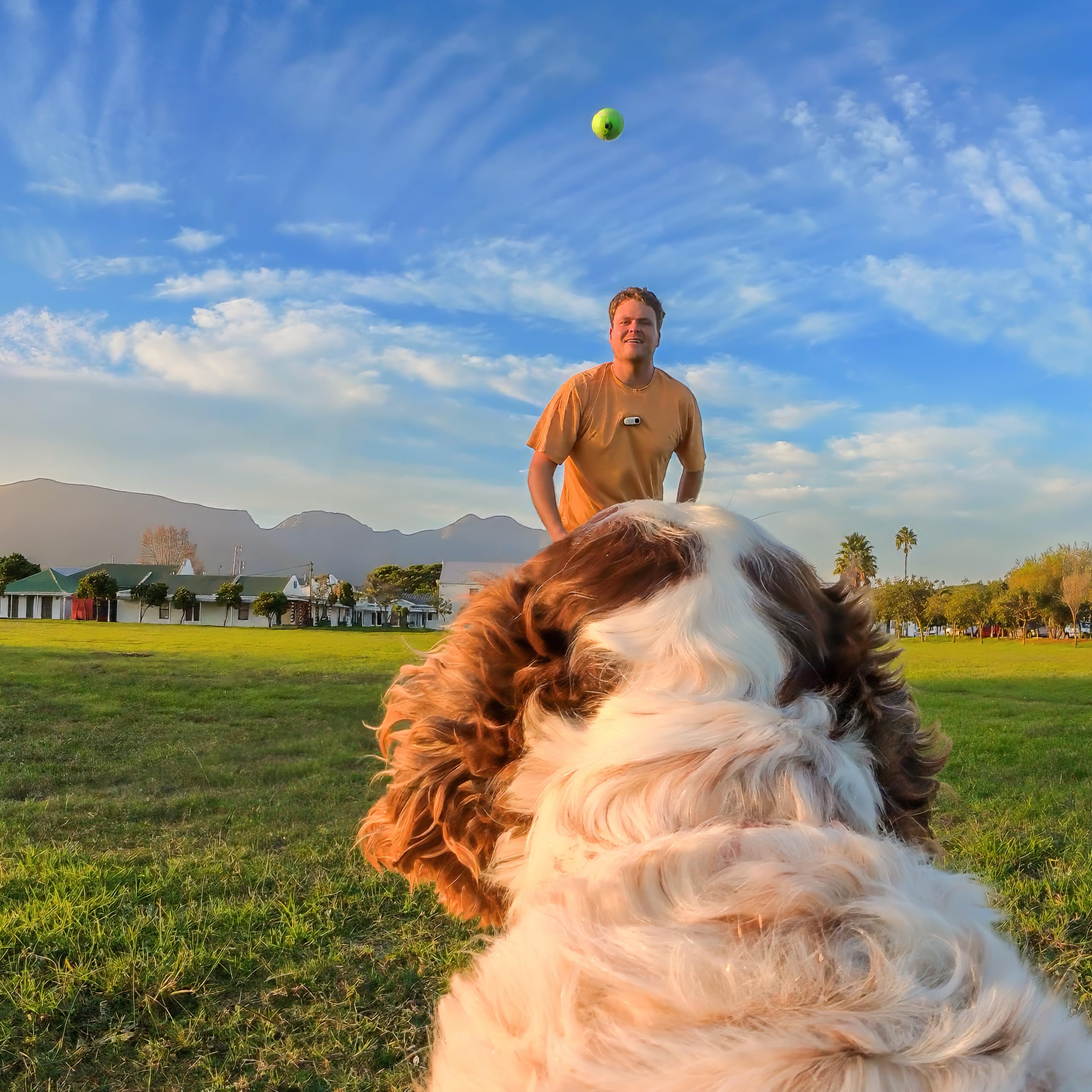 Insta360 GO 3/GO 3S - Soporte de arnés para mascotas, talla M (GO Ultra)