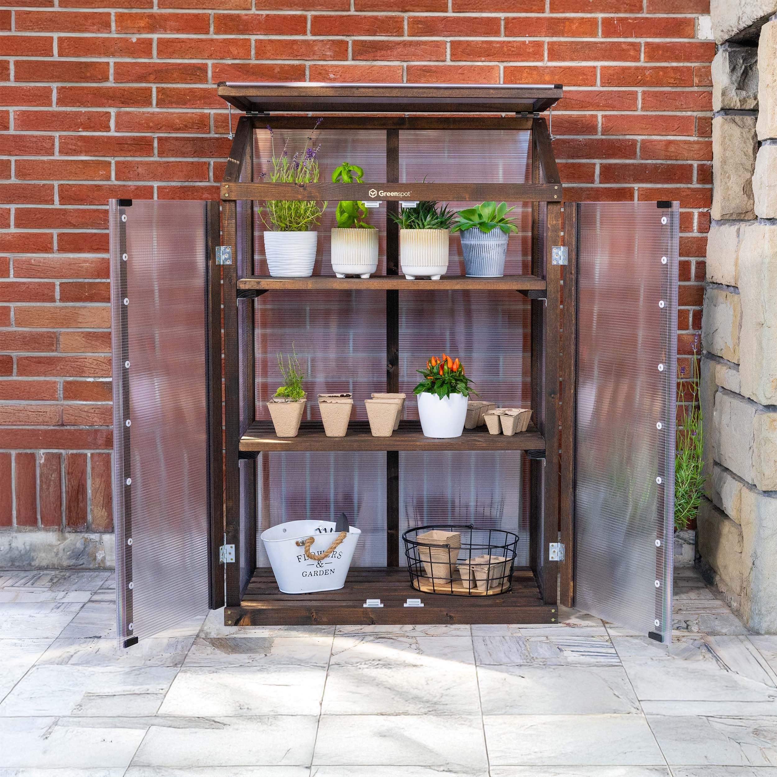 Greenspot - Mini Szklarnia na Balkon i Taras - Szklarnia Balkonowa - 80 x 42 x 121 cm - z Drewna i Tworzywa, Maks. Obciążenie Półki 50 kg - na Zioła, Kwiaty, Rozsady - Origin Ciemny Palisander | 3 wytrzymałe poziomy na zioła, warzywa i kwiaty. Składany da