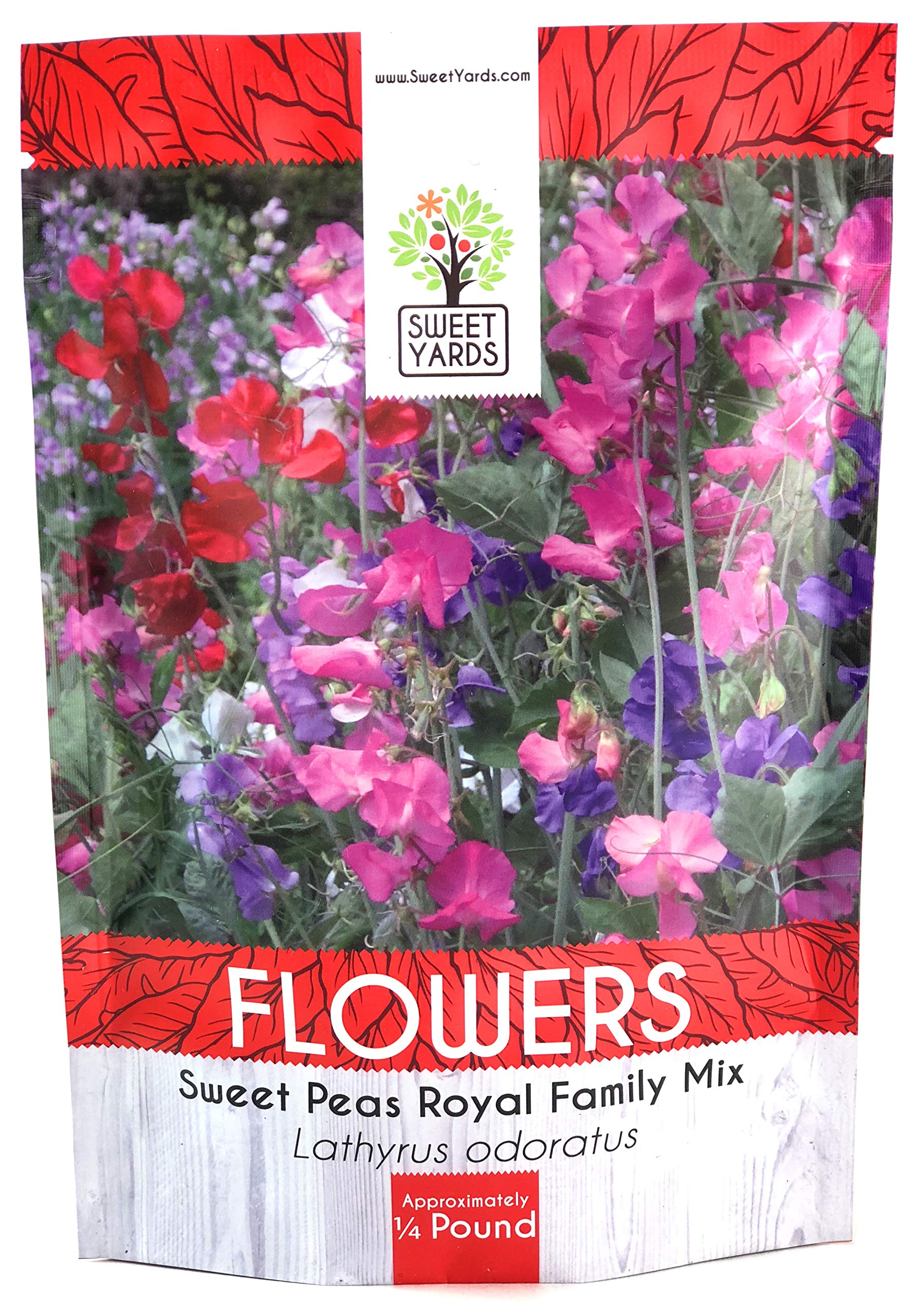 Sweet Pea Seeds Royal Mix - Bulk 1/4 Pound Bag - Over 1,400 Seeds - Large Fragrant Lavender, Purple, Red, Pink and White Blooms