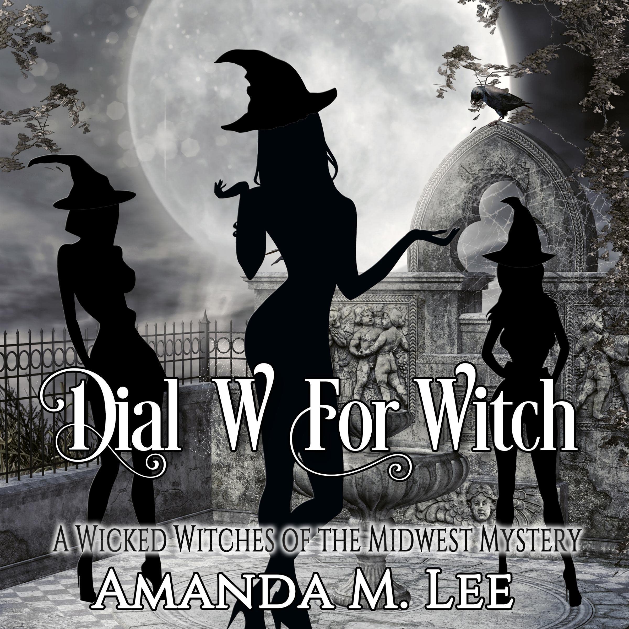 Cover art for Dial W for Witch