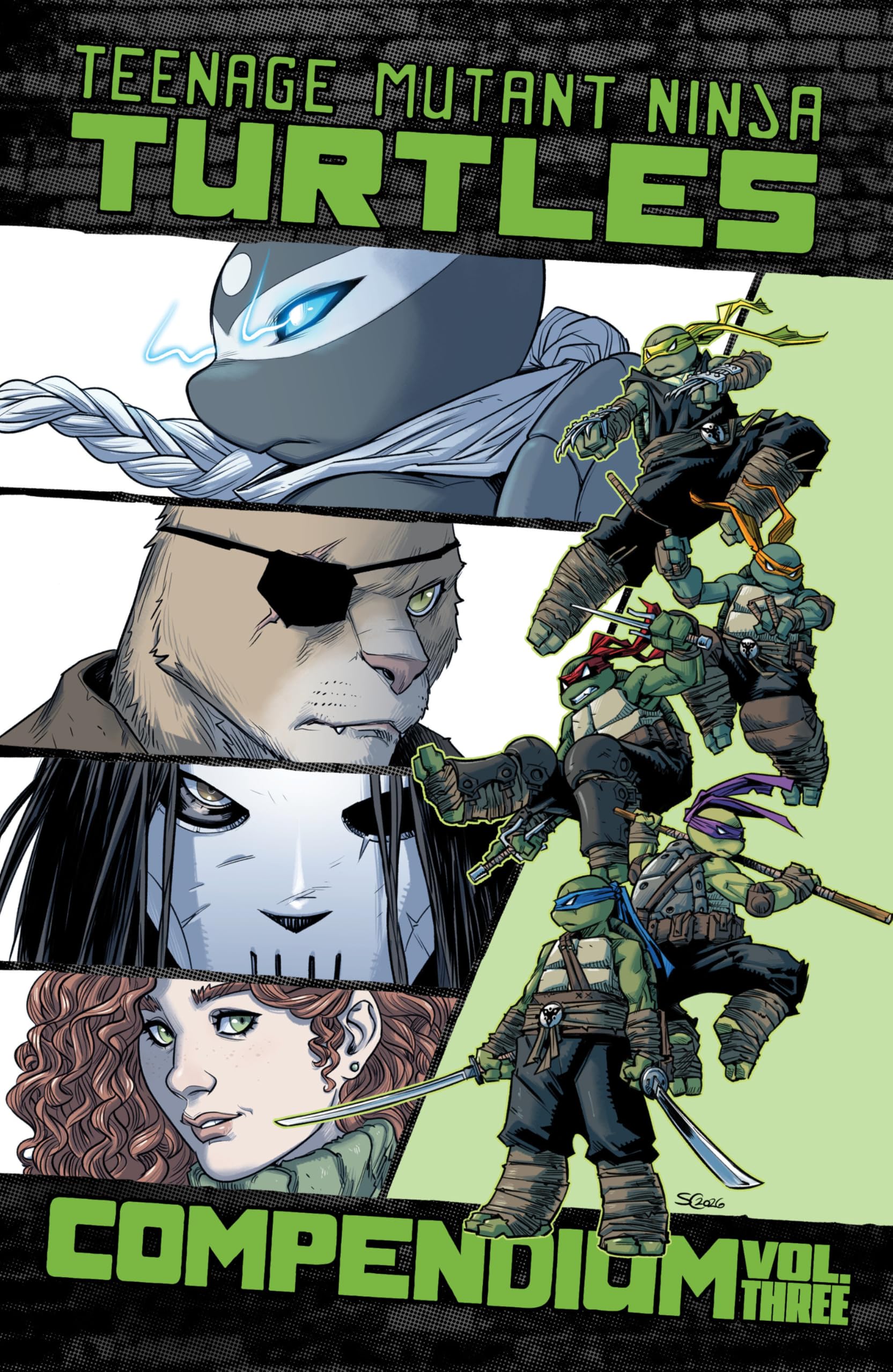 Teenage Mutant Ninja Turtles: Ongoing Compendium, Vol. 3