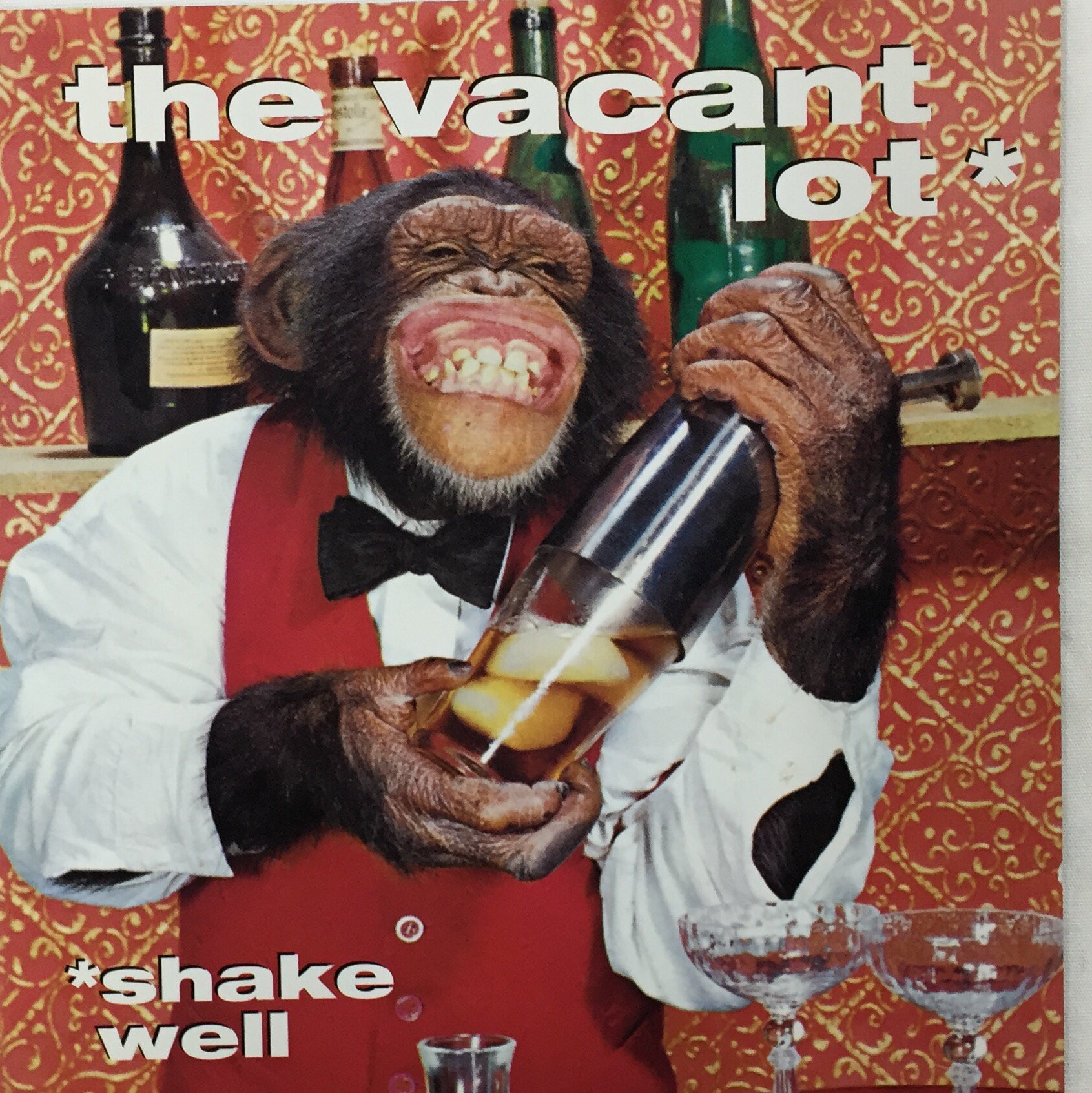 Shake Well [Audio CD] Vacant Lot