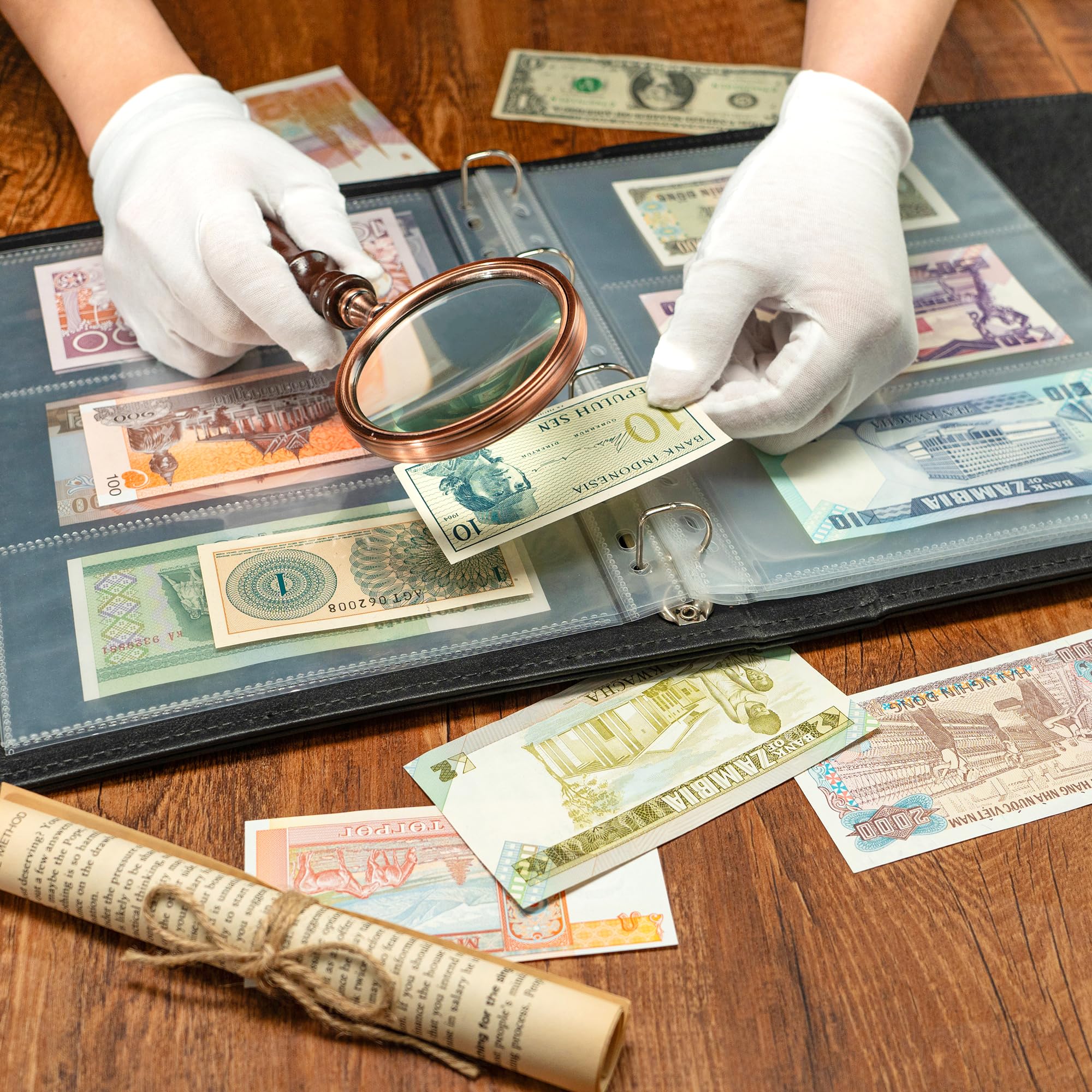 90 Tasche per Album per Banconote - 15 Pezzi tascabili per Banconote a 11 Fori per Raccoglitore Standard a Fori Inserti per Fogli di Ricambio Extra per cartelle Album di Banconote PCP0115