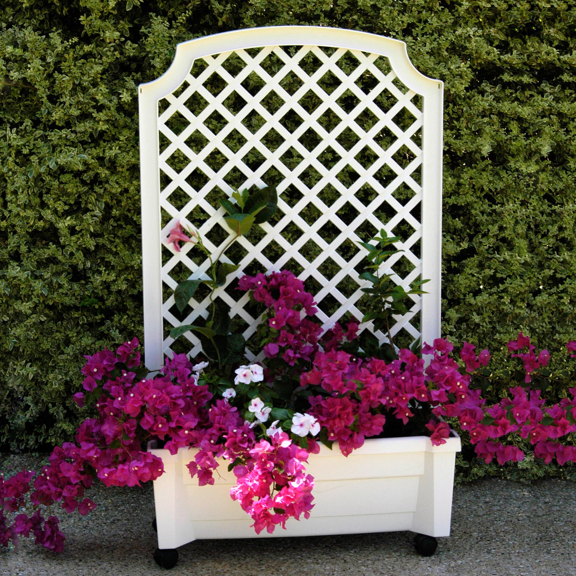 NYVI Pflanzkasten NYVIGreen 79x35x134 cm 42 Liter mit Bewässerungssystem & Spalier - Pflanzkübel aus wetterfestem & recyceltem Kunststoff - Pflegeleicht, Steckmontage ohne Werkzeug, Farbe:Weiß