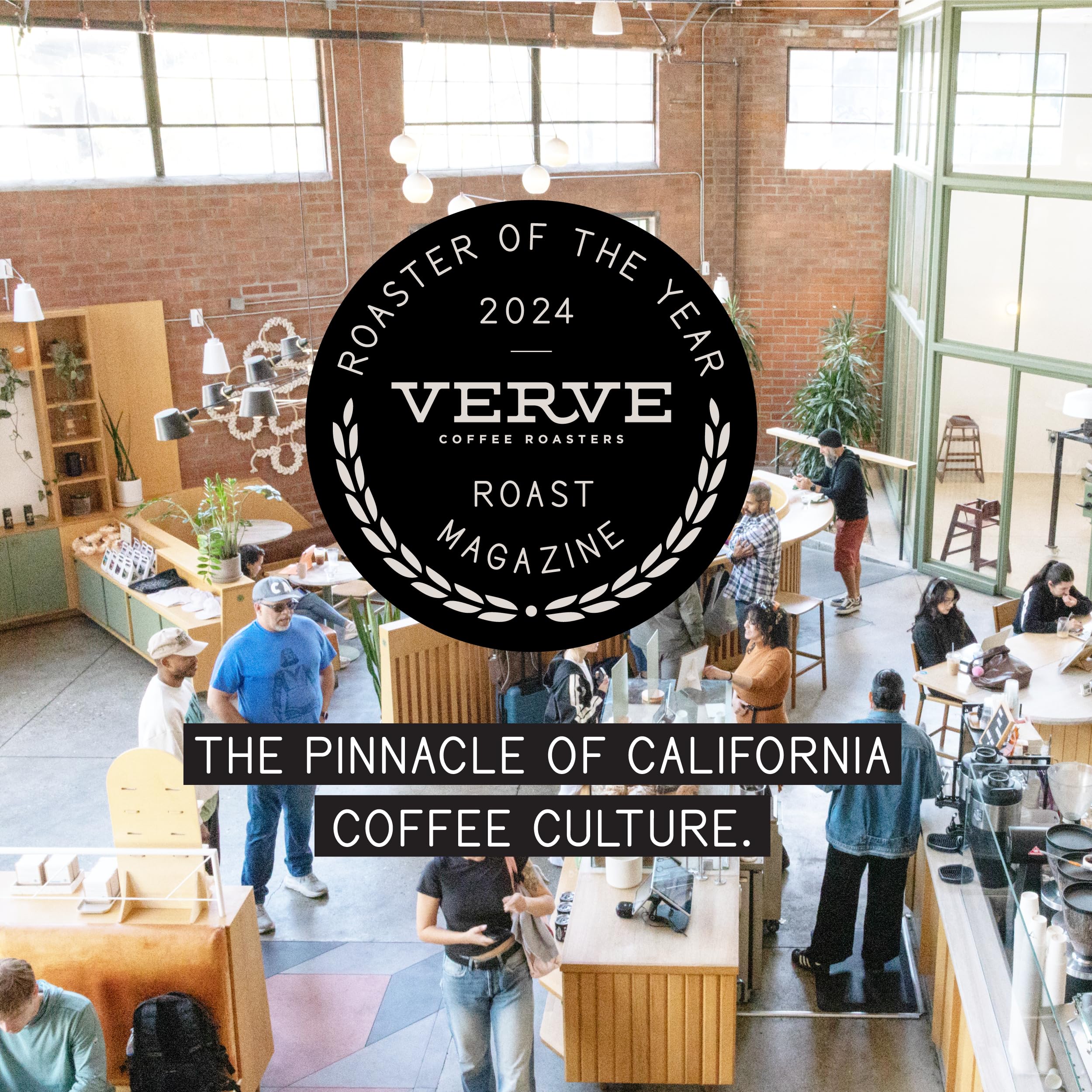 verve coffee roasters