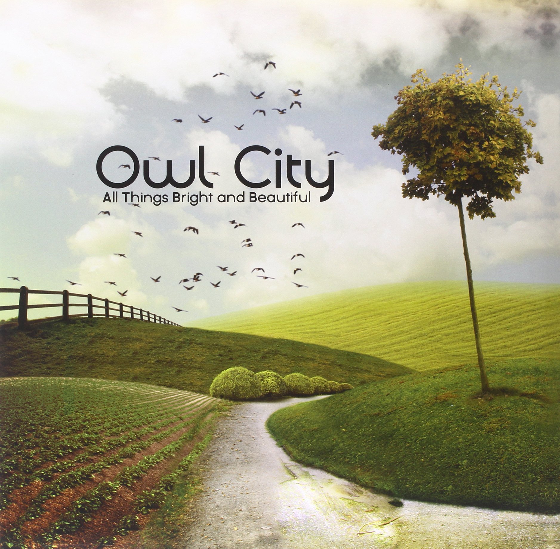 洋楽 Owl City All Things Bright and Beautiful All Things Bright and Beautiful [Disco de Vinil]: Amazon.com.br