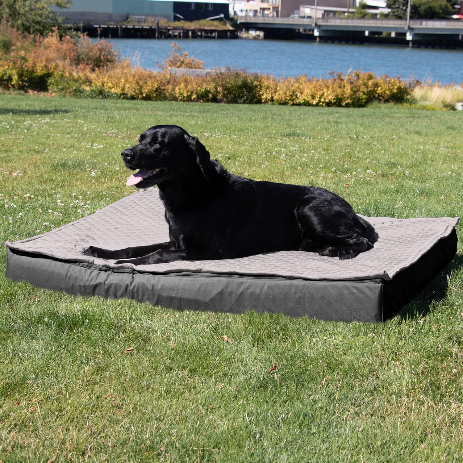 review Furhaven Water-Resistant Orthopedic Dog Bed for Large Dogs w/ Removable Quilt Top & Washable Cover, For Dogs Up to 125 lbs - Indoor/Outdoor Quilt Top Convertible Mattress - Gray, Jumbo Plus/XXL