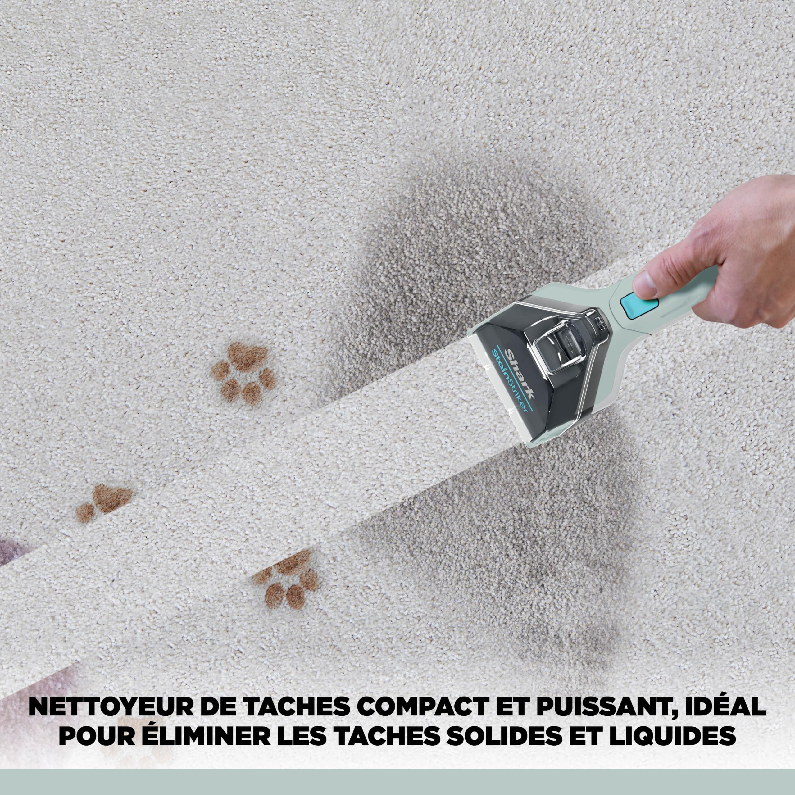 Shark StainStriker Nettoyeur tâches 5 accessoires, pour animaux, suceur plat et tuyaux, 2 formules de nettoyage CarpetXpert (946 ml) & StainStriker (474 ml) pour enlever les taches, Gris, PX200EUCP
