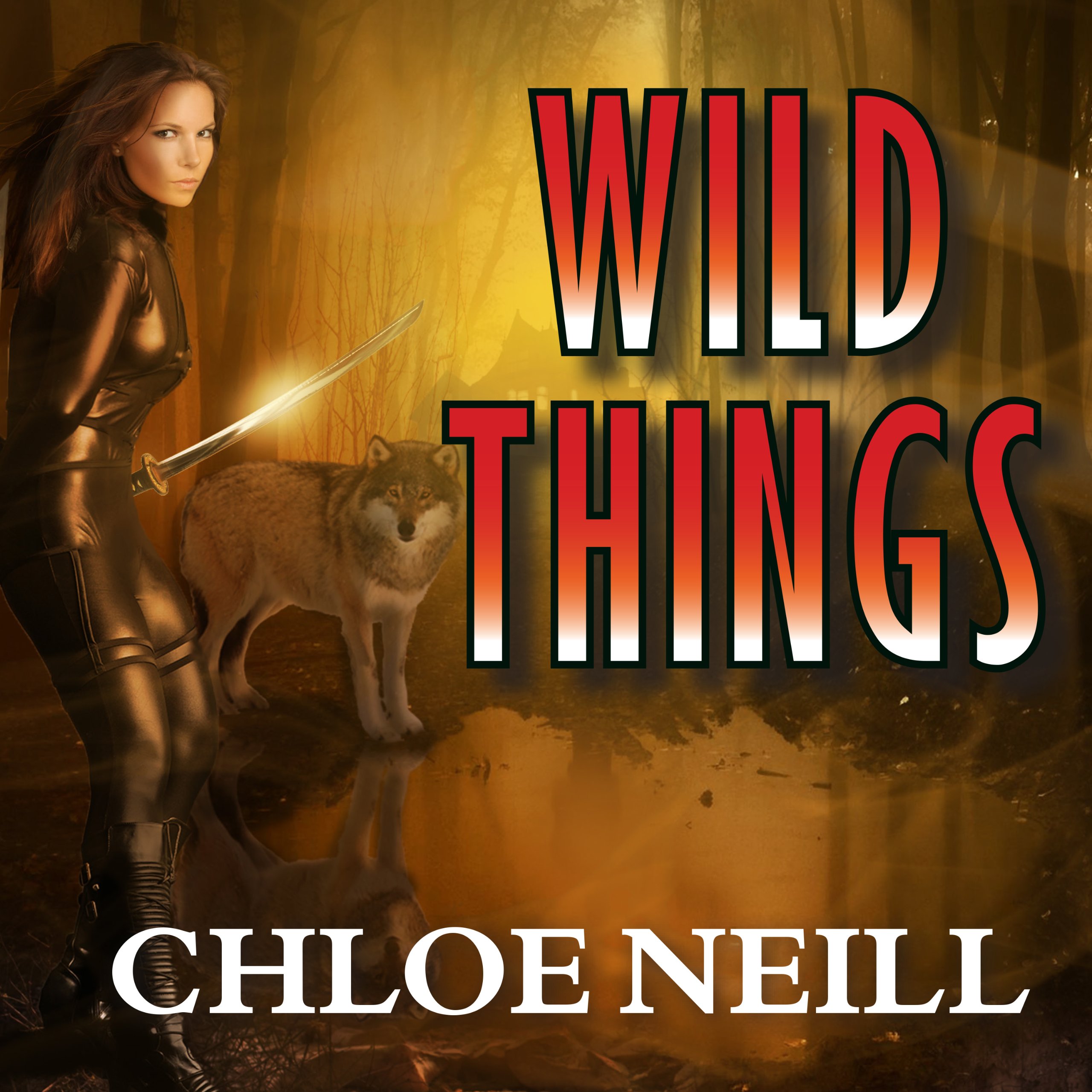 Book cover for Wild Things