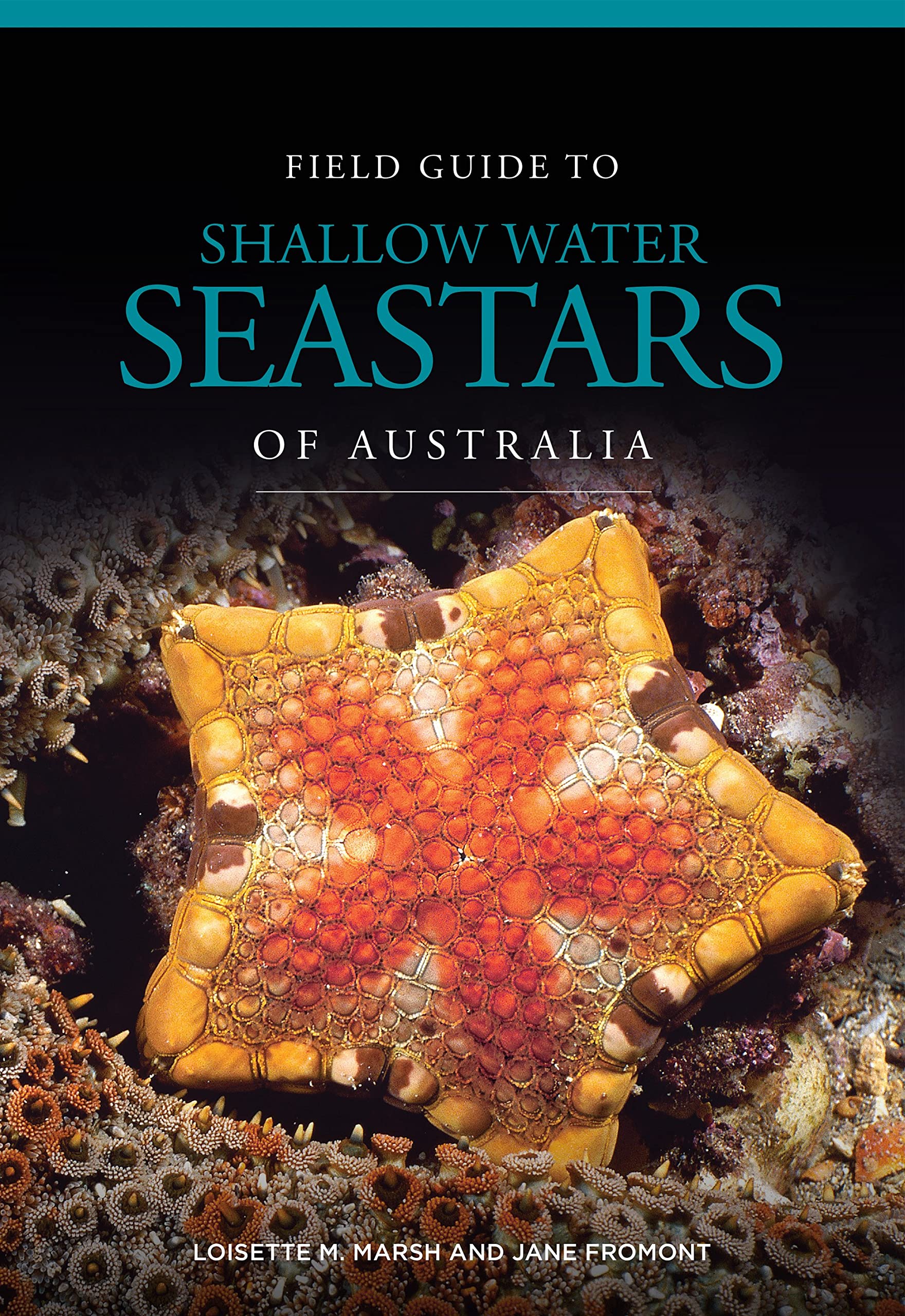Field Guide to Shallow Water Seastars of Australia
