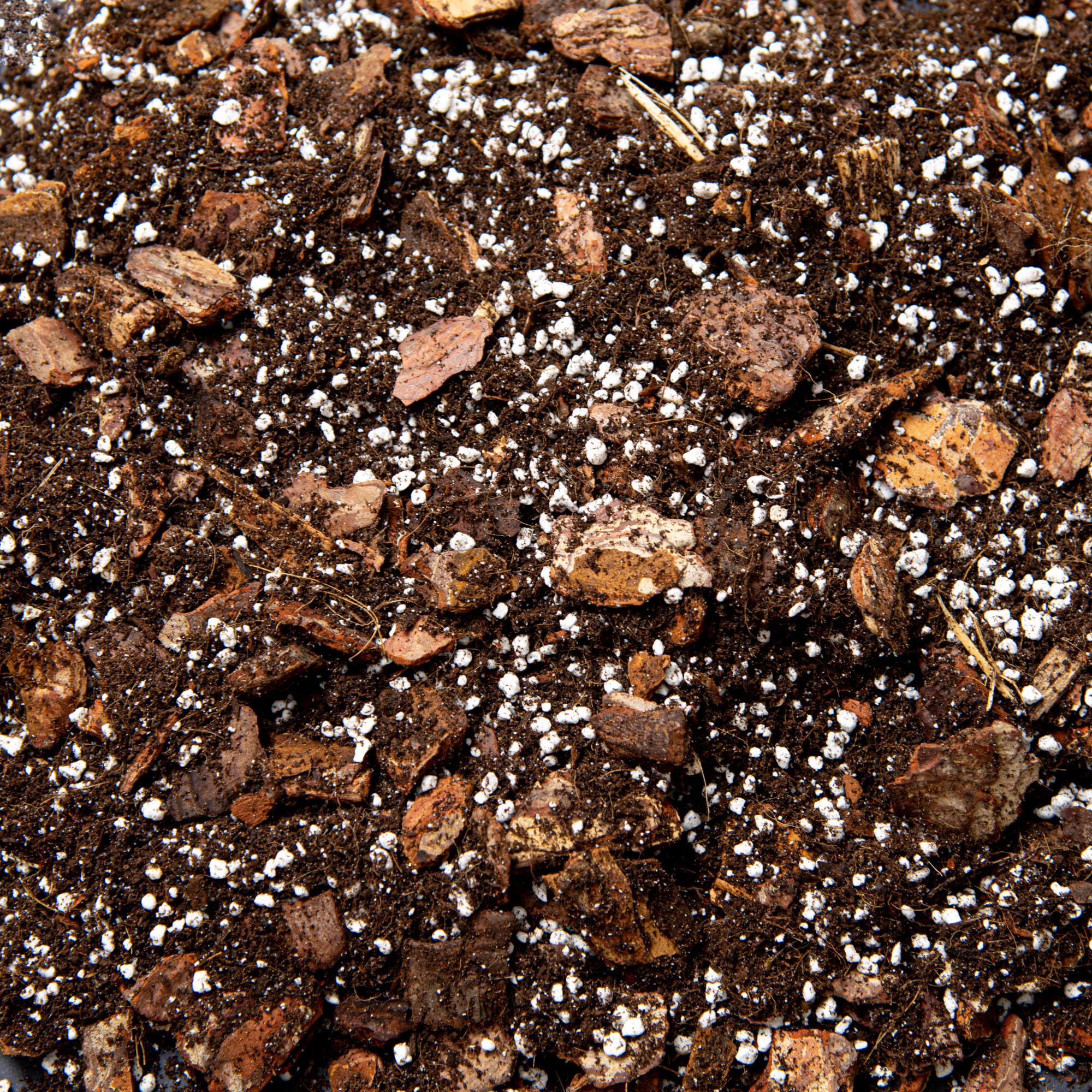 Premium Orchid Potting Mix with Biochar & Coco Coir – Fine Orchid Bark, Perlite & Gentle Organic Feed – Fast Draining Soil for Phalaenopsis & Indoor Orchids (15L)