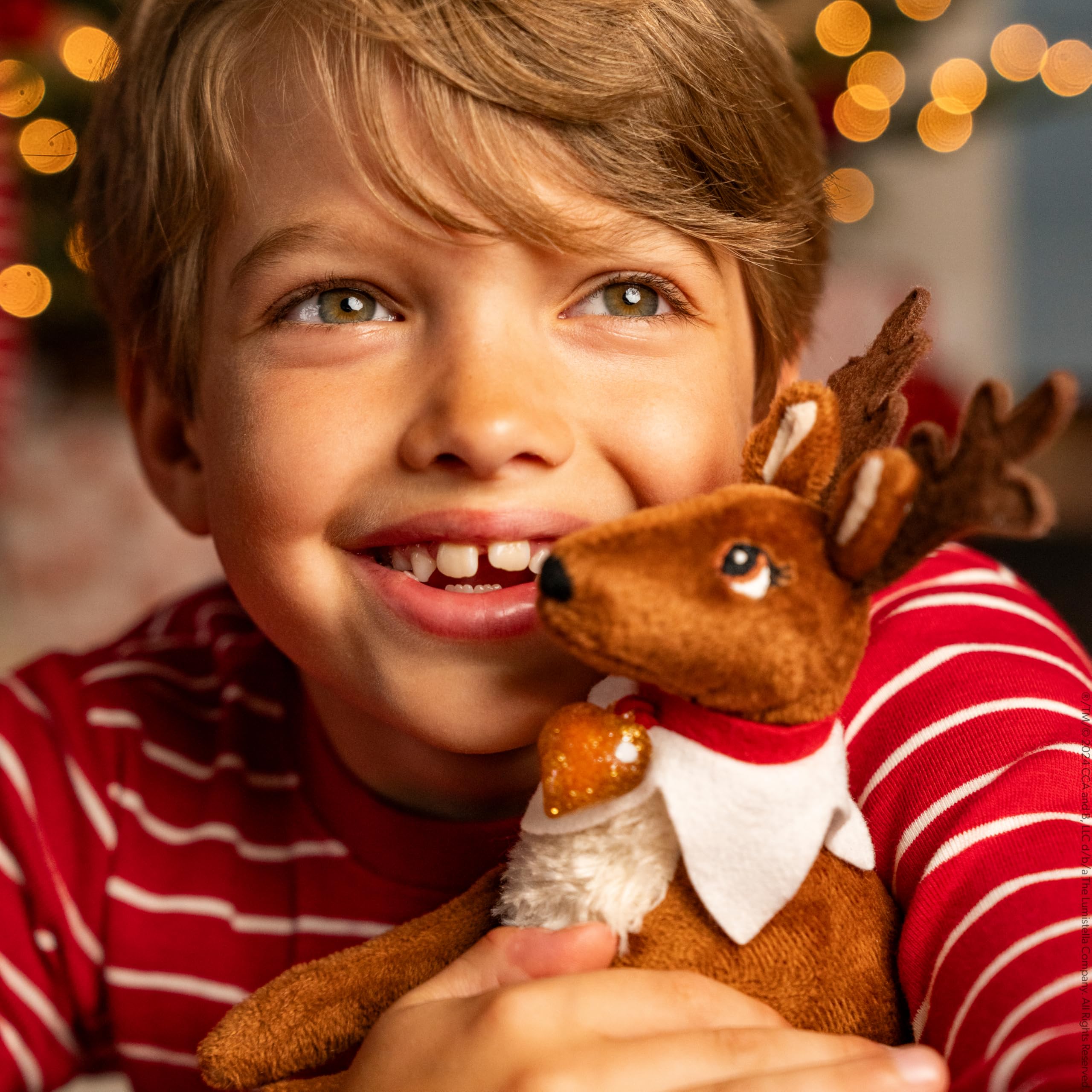 The Elf on the Shelf - Il Cofanetto Tradition Renna - con libro di racconti illustrato - L'Elfo sullo scaffale Tradizione di Natale - Peluche Natale