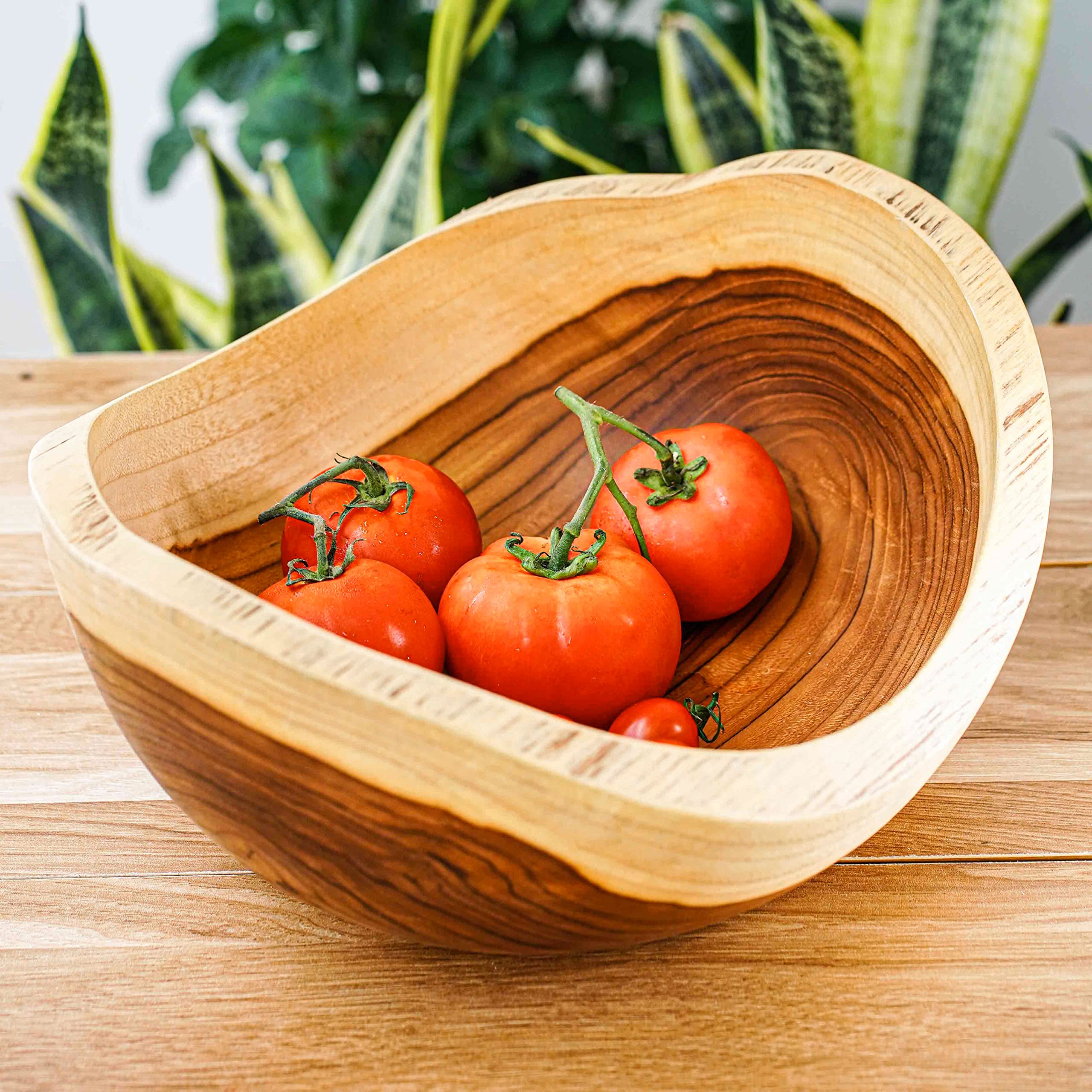 Amazon.com | Rainforest Bowls 12