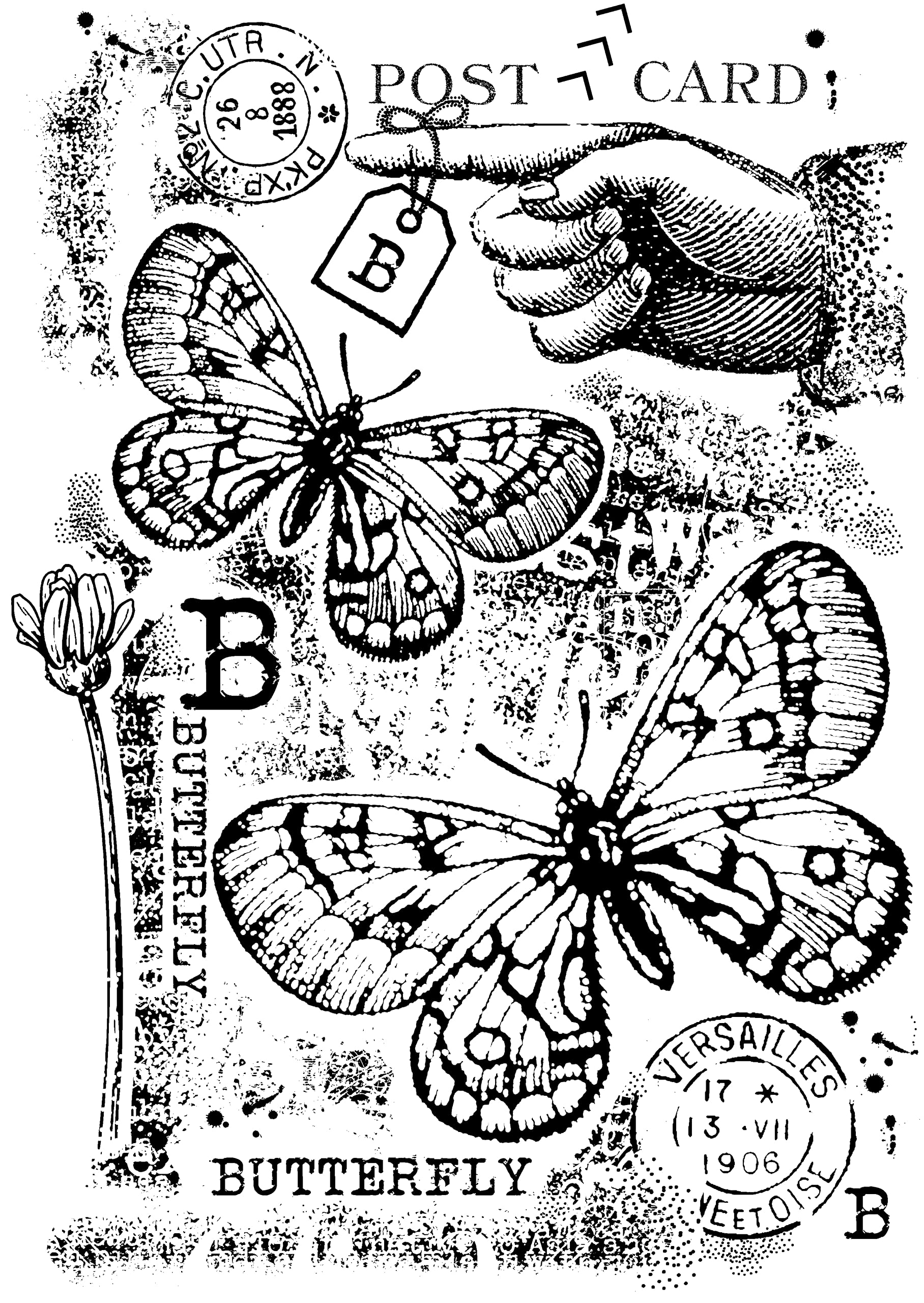 Woodware Francoise Collection-Clear Stamp-B is for Butterfly, 4 x 6 inches