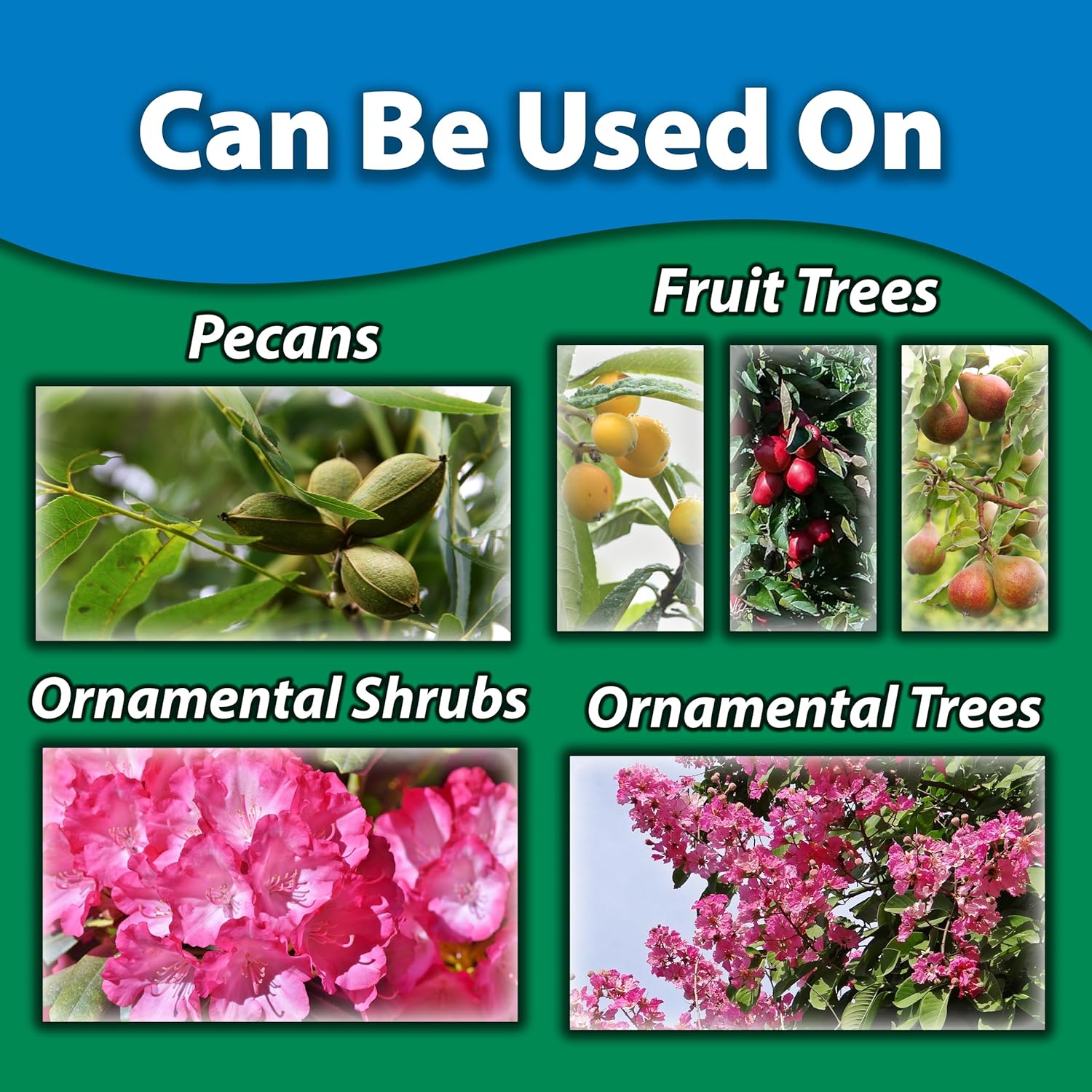 Monterey Once A Year Insect Control II Bundled with Measuring Spoon - Systemic Insecticide Absorbed Through Roots Into Plant - 1 Gallon