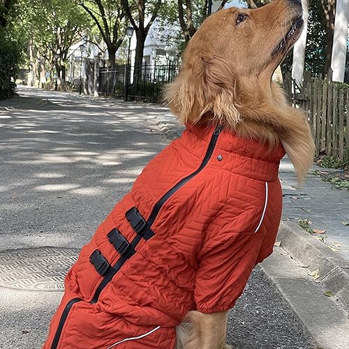 Miniatura 6 de Abrigo cálido para perro, chaleco de doble capa para perro, 4 patas cubiertas, resistente al viento, impermeable, reflectante, chaleco cálido para