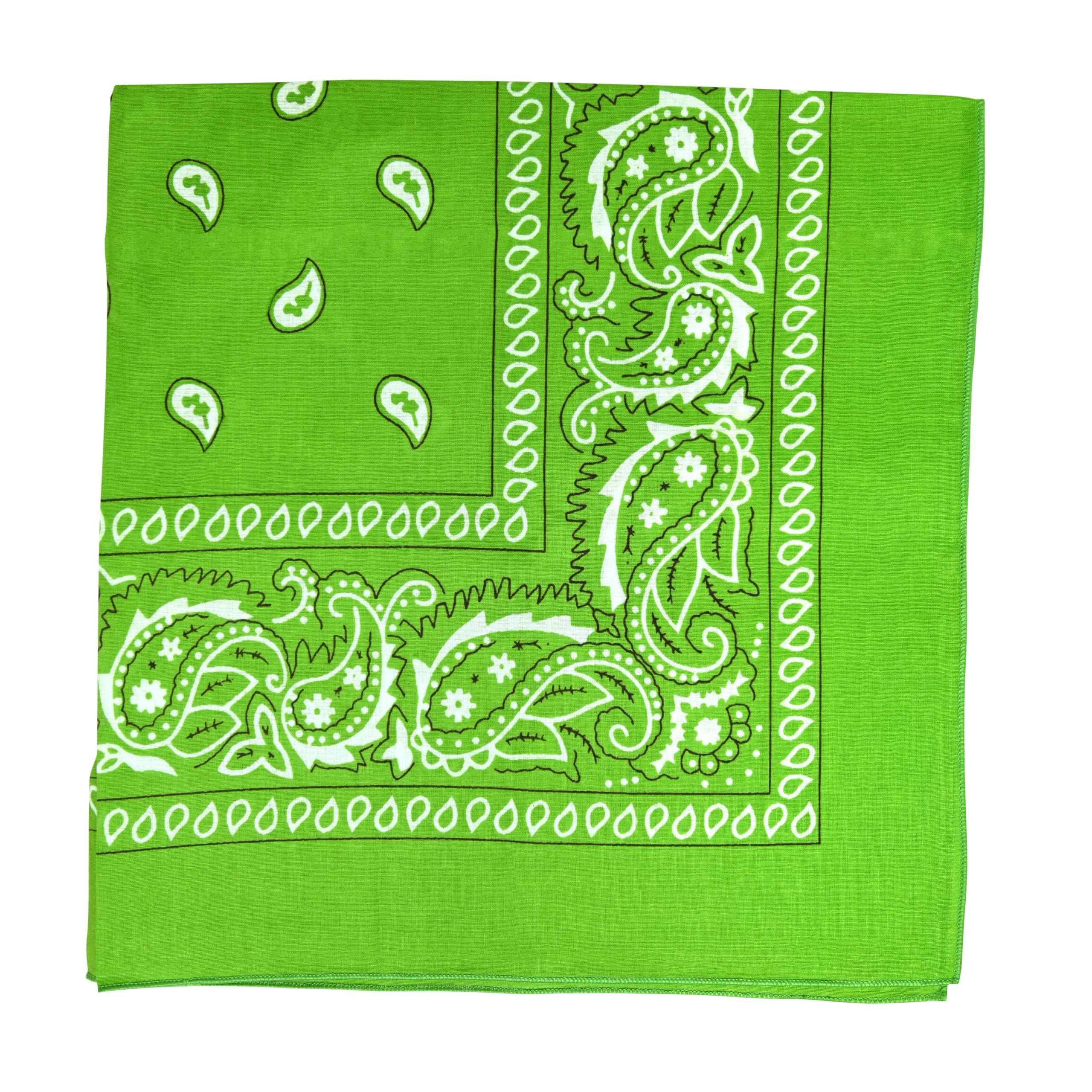 Motique Accessories Extra Large Paisley Bandana 27x27 Inch