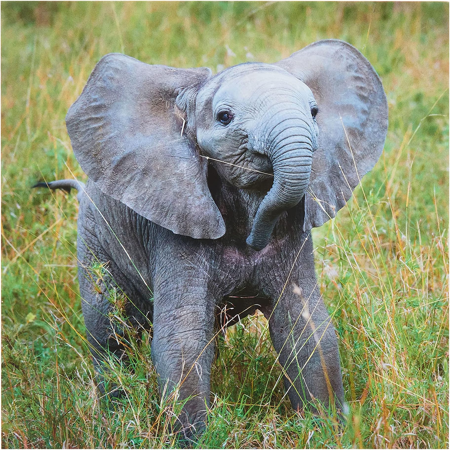 Bug Art Elephant & Balloons Greeting Card - Foil Embossed Blank Card With Envelope