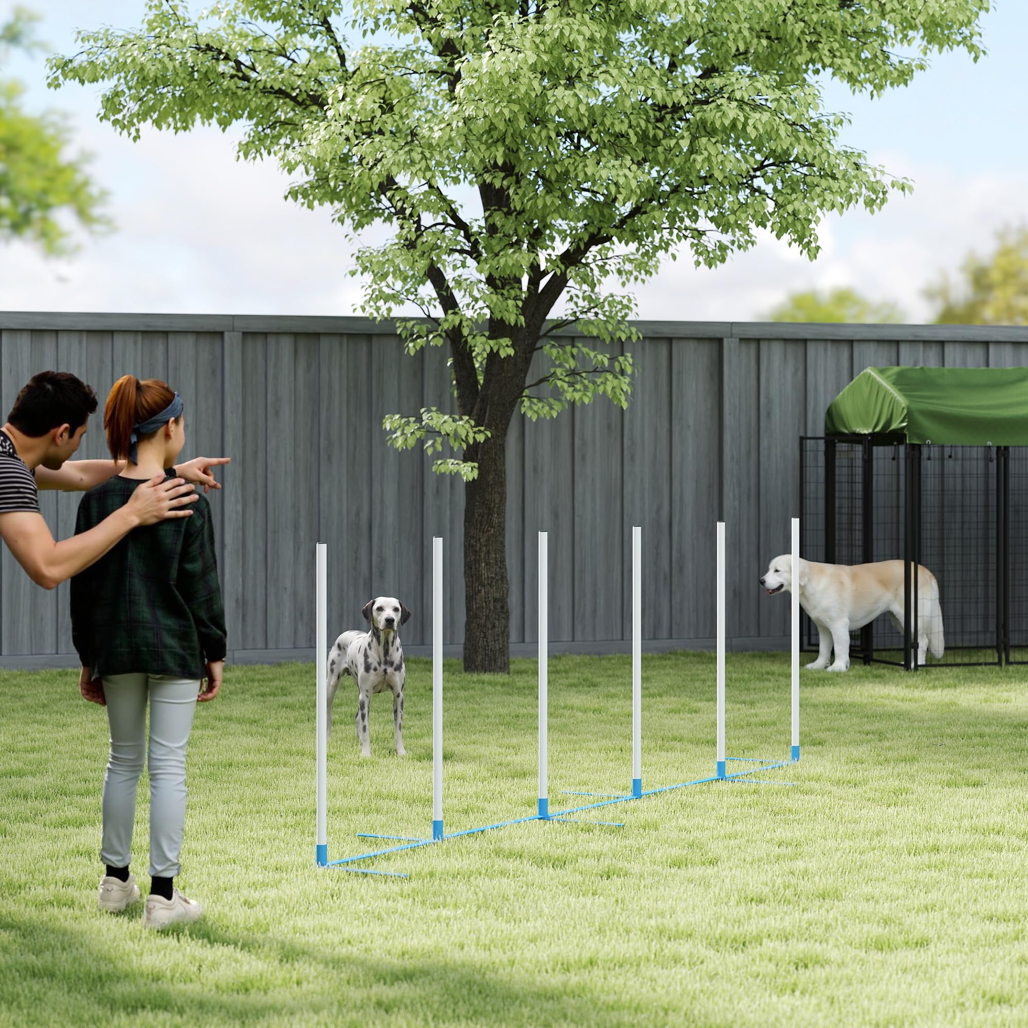 PawHut Adjustable Dog Agility Training Obstacle Course Set with Weaves Poles Storage Bag for Pet Dogs Outdoor Games Exercise - image 6