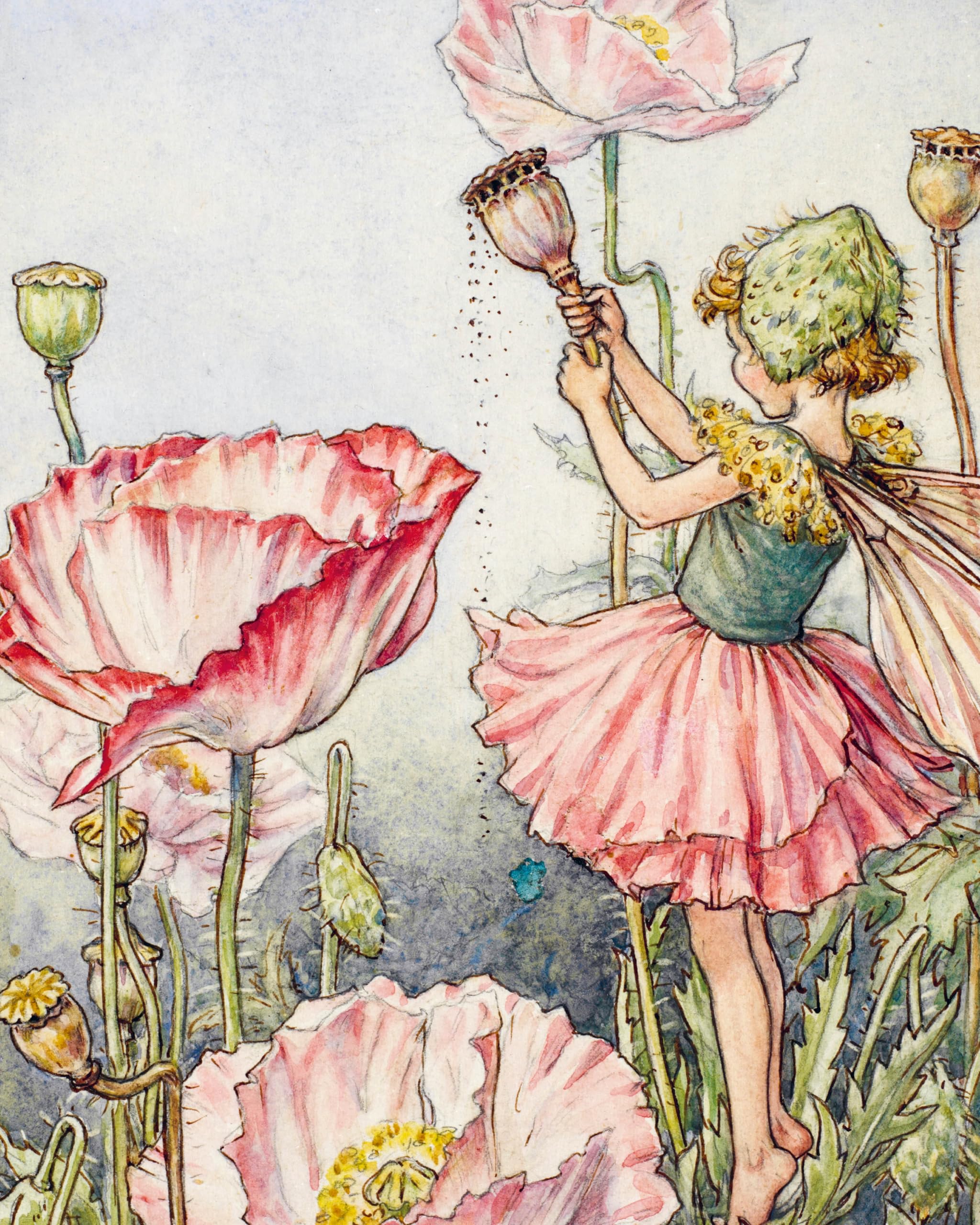 Cut Out and Collage Flower Fairies: Cut Out and Keep Flower Fairies for Arts and Craft