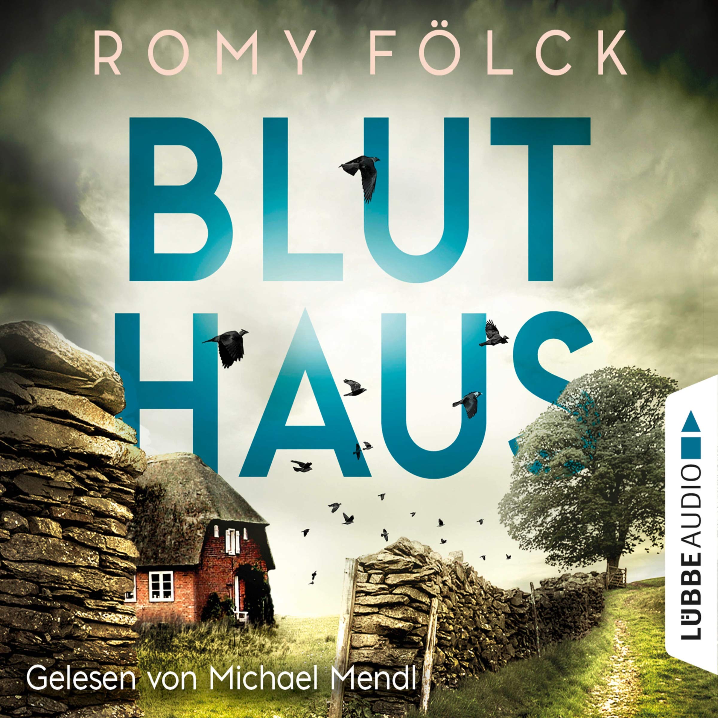 Cover art for Bluthaus