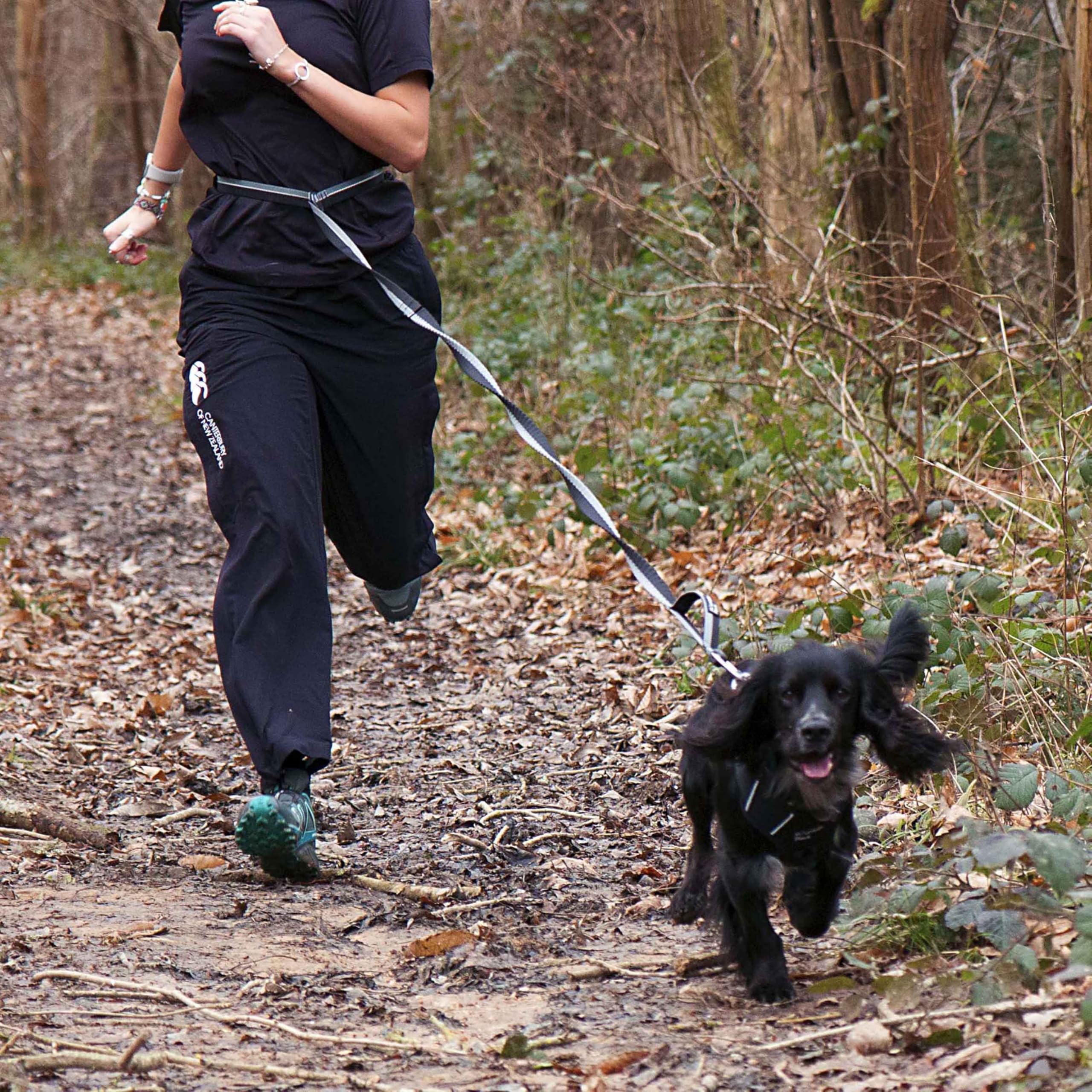 Mountain Paws Laisse de Course pour Chien | À Main ou à la Taille avec poignée en néoprène Doux 1,4 m
