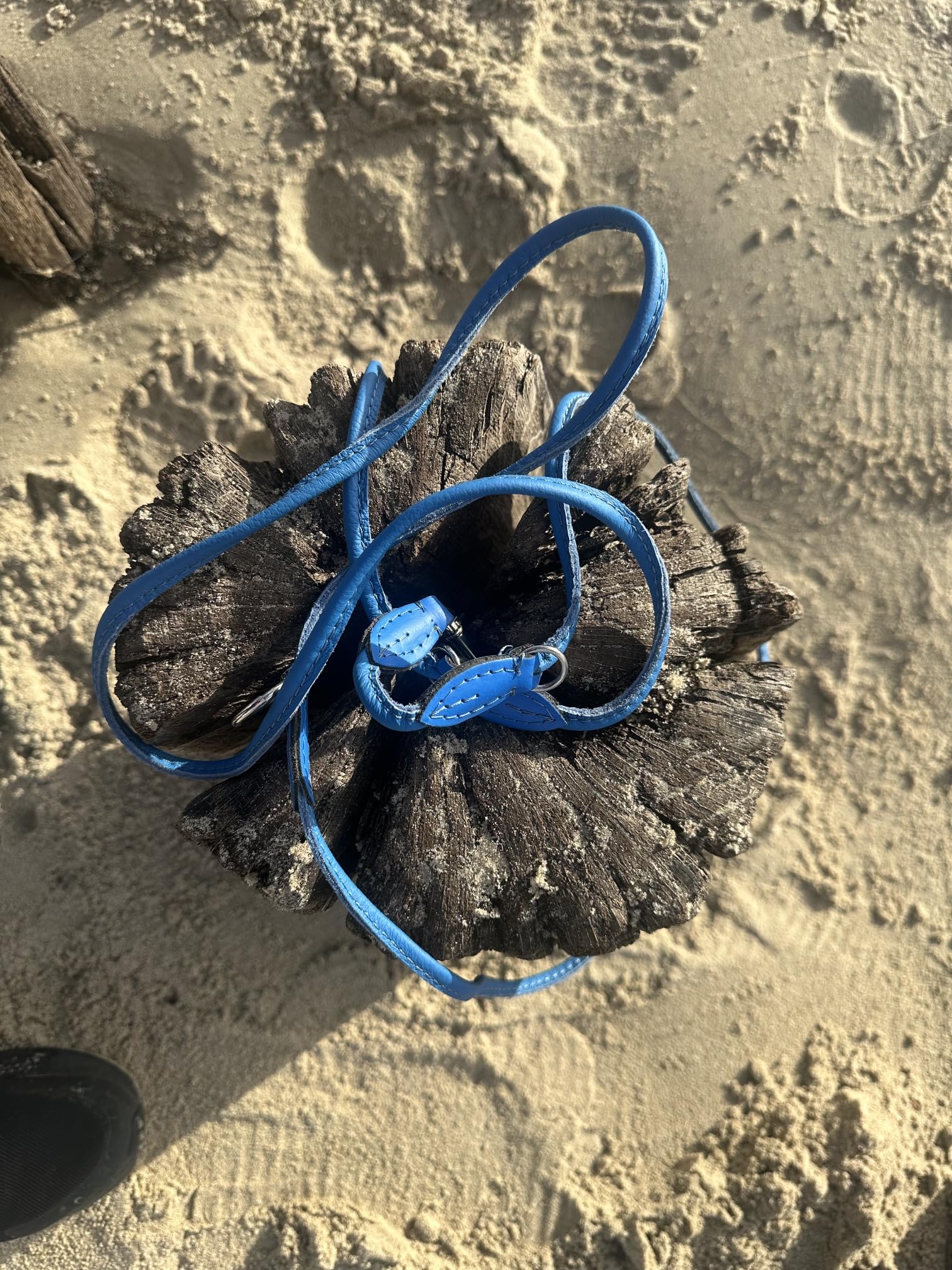 Guinzaglio per cani in vera pelle 961, 8 mm x 220 cm, perfetto per cani di piccola taglia