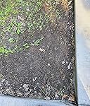 Review Image by Siya