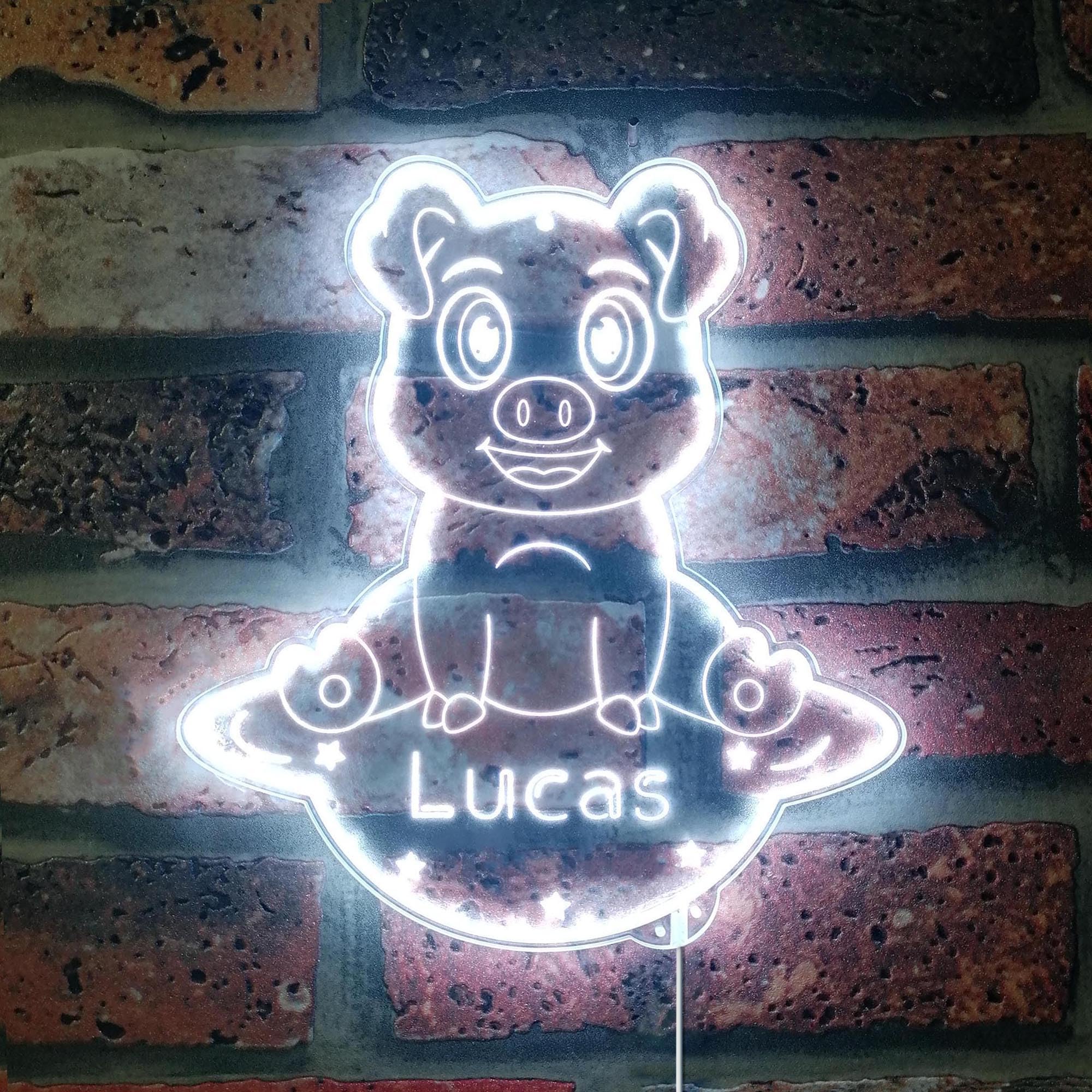 ADVPRO Name Personalized Pig RGB Dynamic Glam LED Sign - Cut-to-Edge Shape - Smart 3D Wall Decoration - Multicolor Dynamic Lighting - st06s22-fnd-p0018-tm