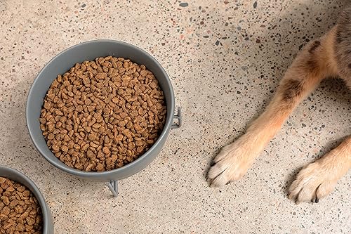 Miniatura 2 de Waggo Simple - Soporte sólido para cuenco y cuenco para perros, soporte individual de hierro con comedero de cerámica individual o cuenco de agua,