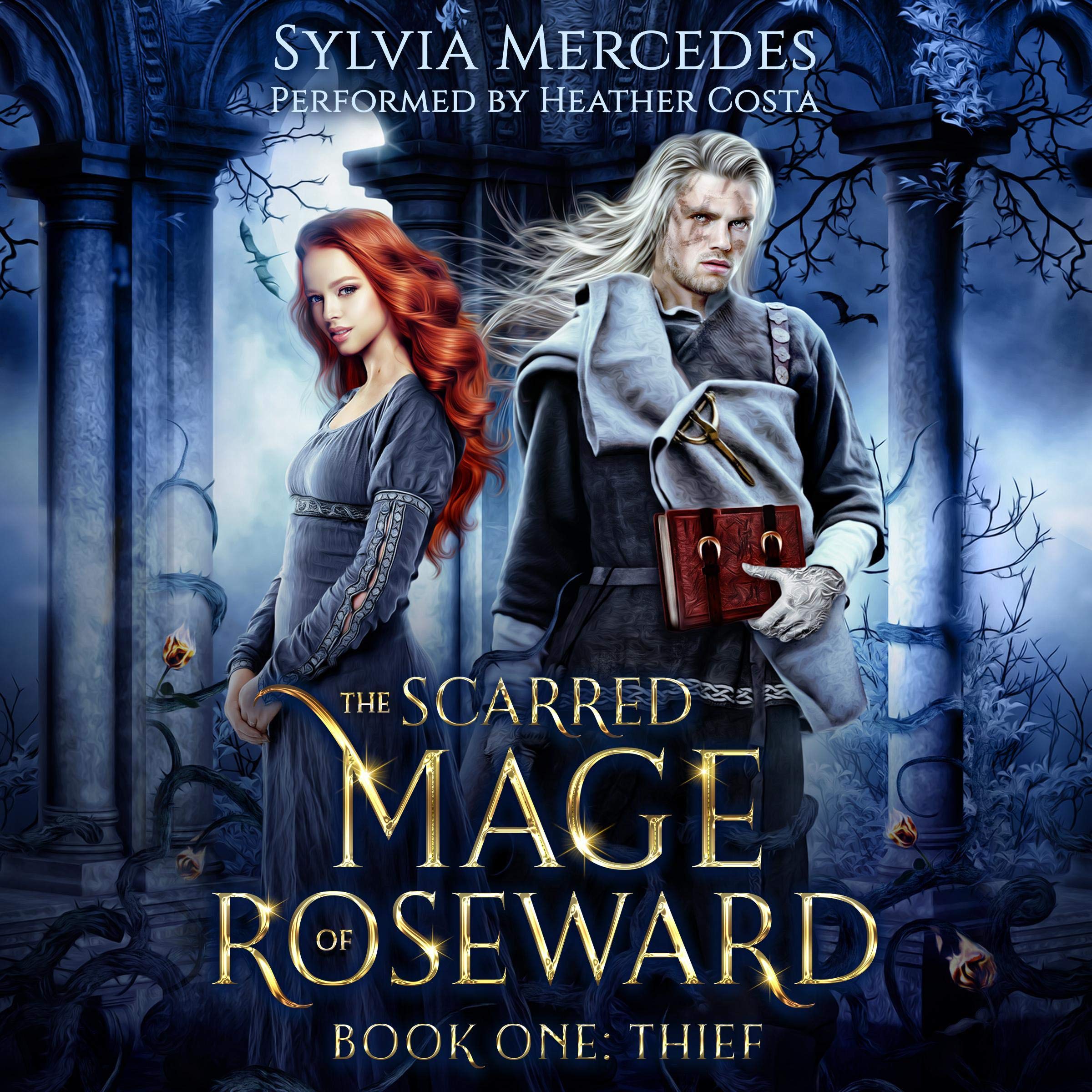 Cover art for Thief