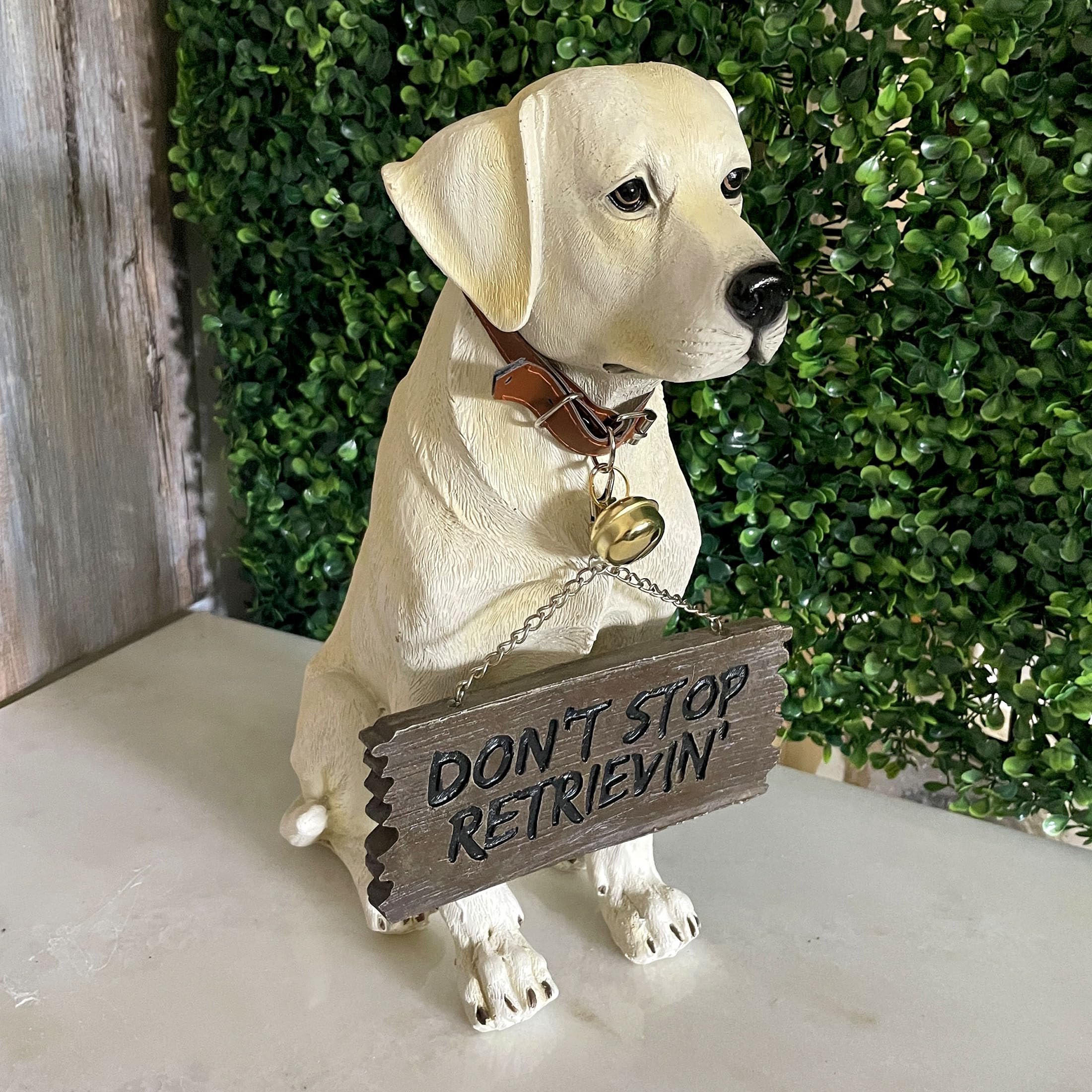 Amazon.com : Labrador Retriever Garden Statue with Reversible