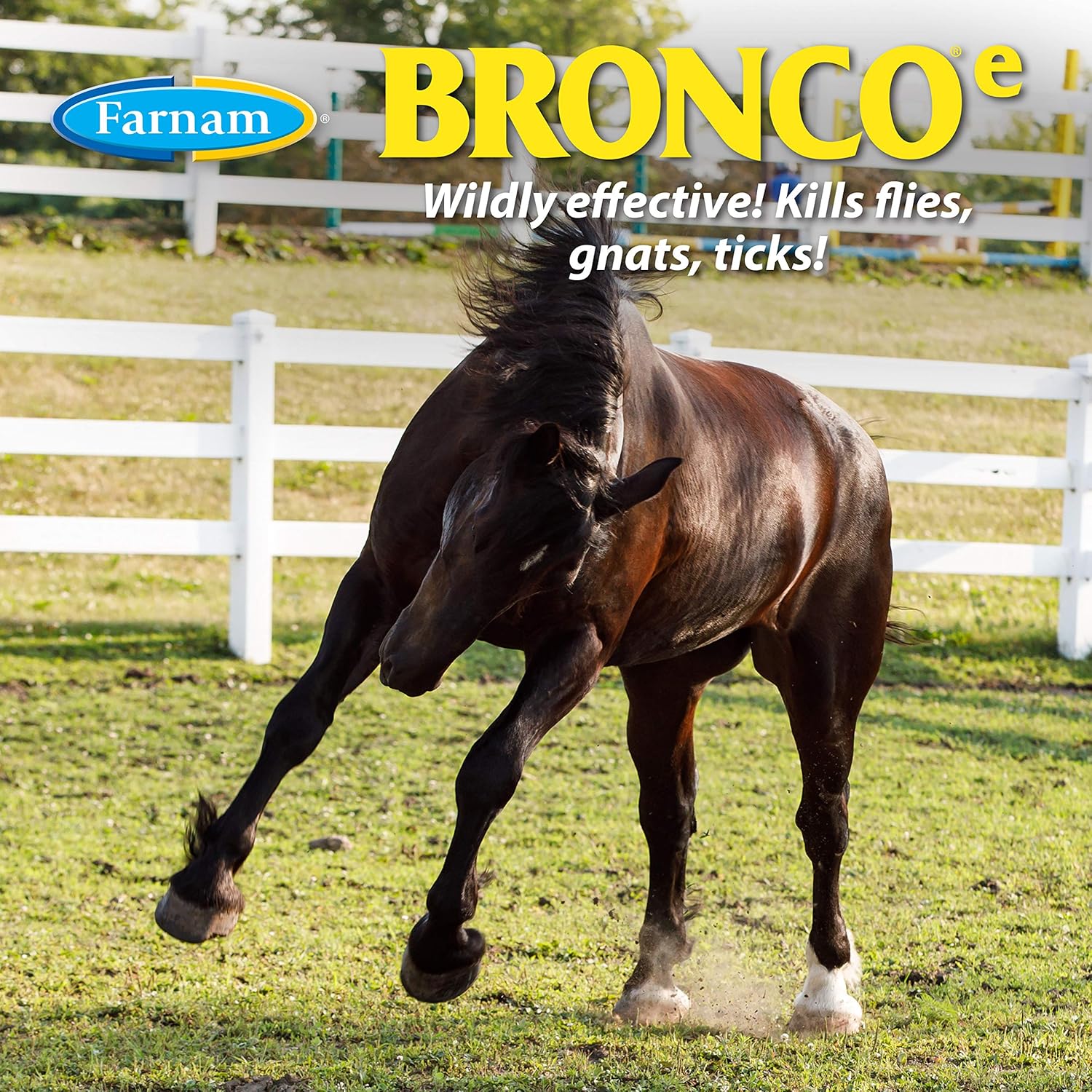 Farnam Bronco e Equine Fly Spray, with Citronella Scent, for horses, ponies and dogs, 1 Gallon : Pet Supplies