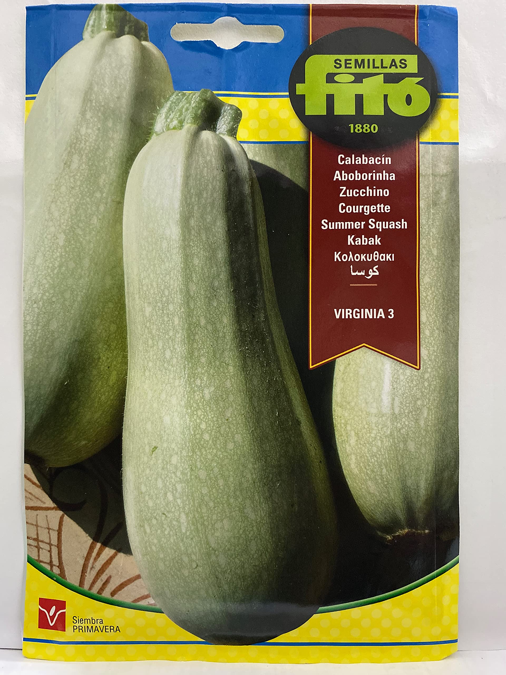 Semillas Fitó FITO® VIRGINIA 3 SUMMER SQUASH SEEDS (Net weight 5 grams.) – بذور کوسا