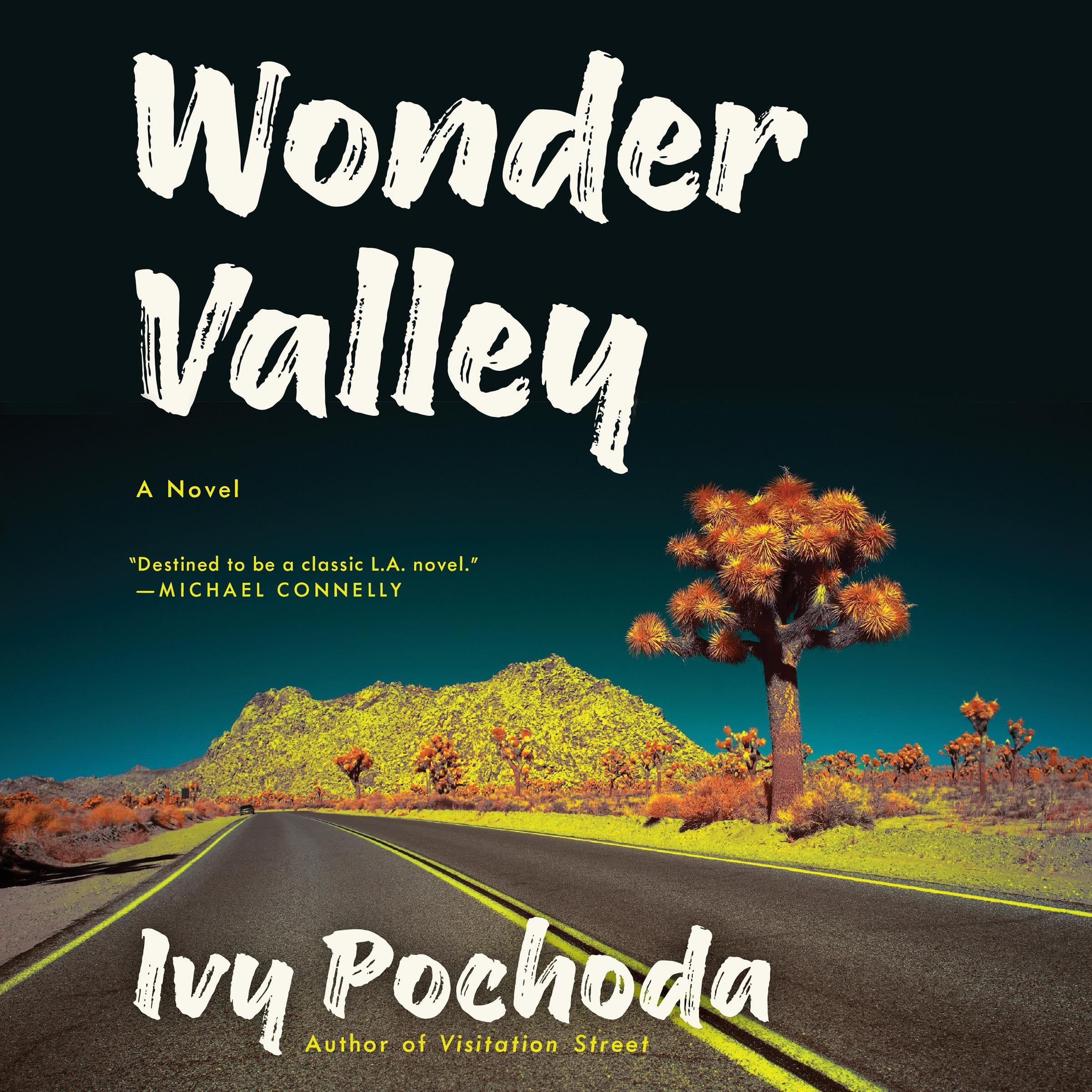 Cover art for Wonder Valley