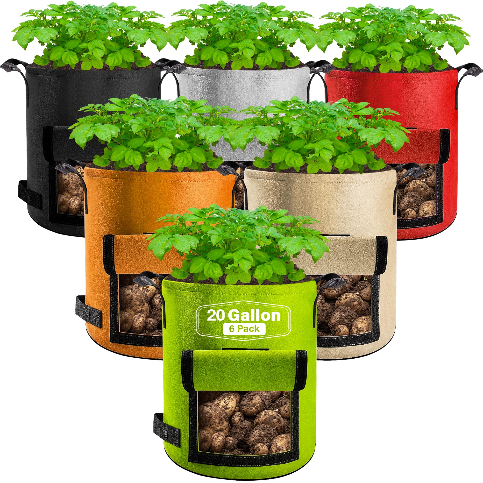 Suntee 6-Pack 20 Gal