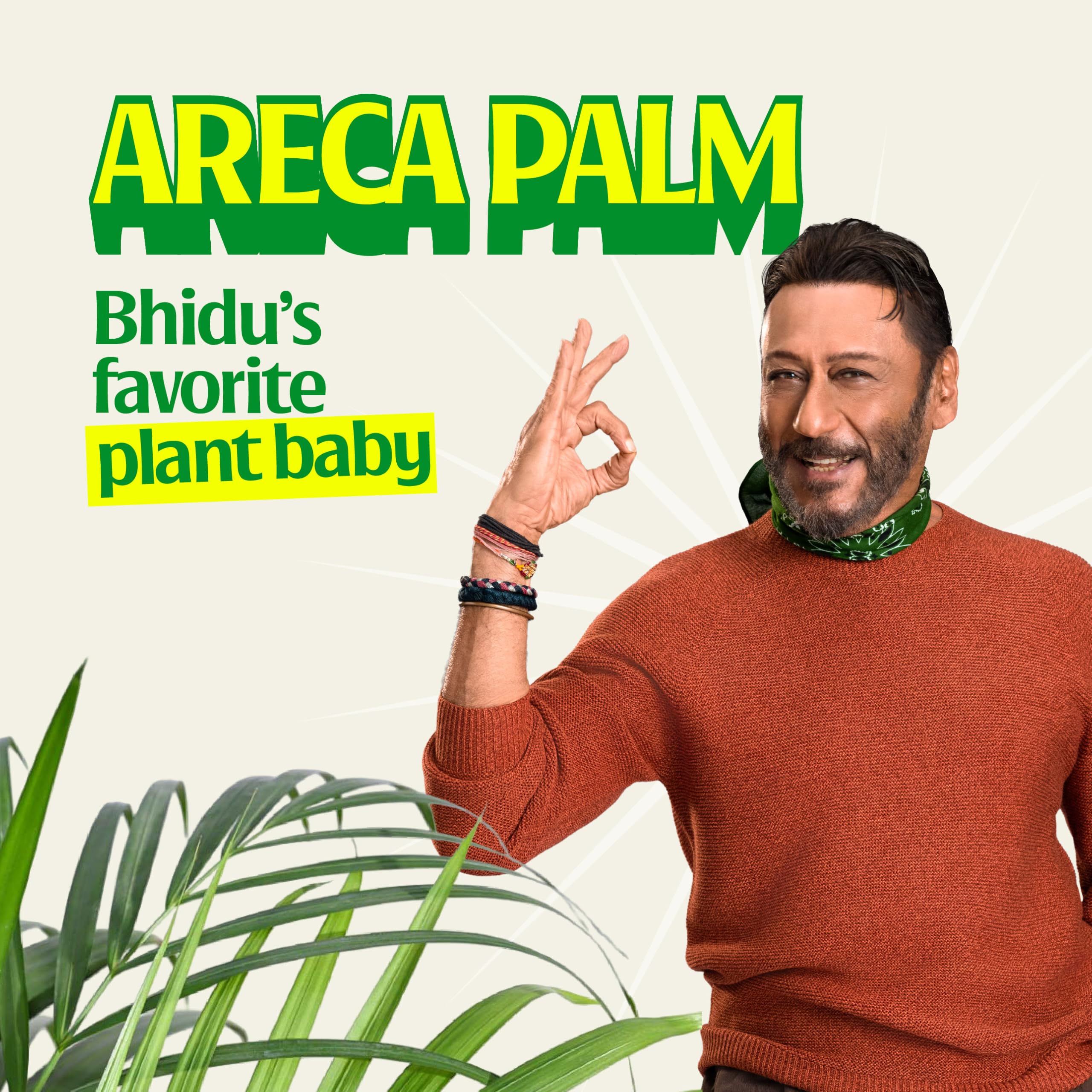Ugaoo Areca Palm - XL Live Plant with Self-Watering Pot -2 Ugaoo Areca Palm - XL Live Plant with Self-Watering Pot -2