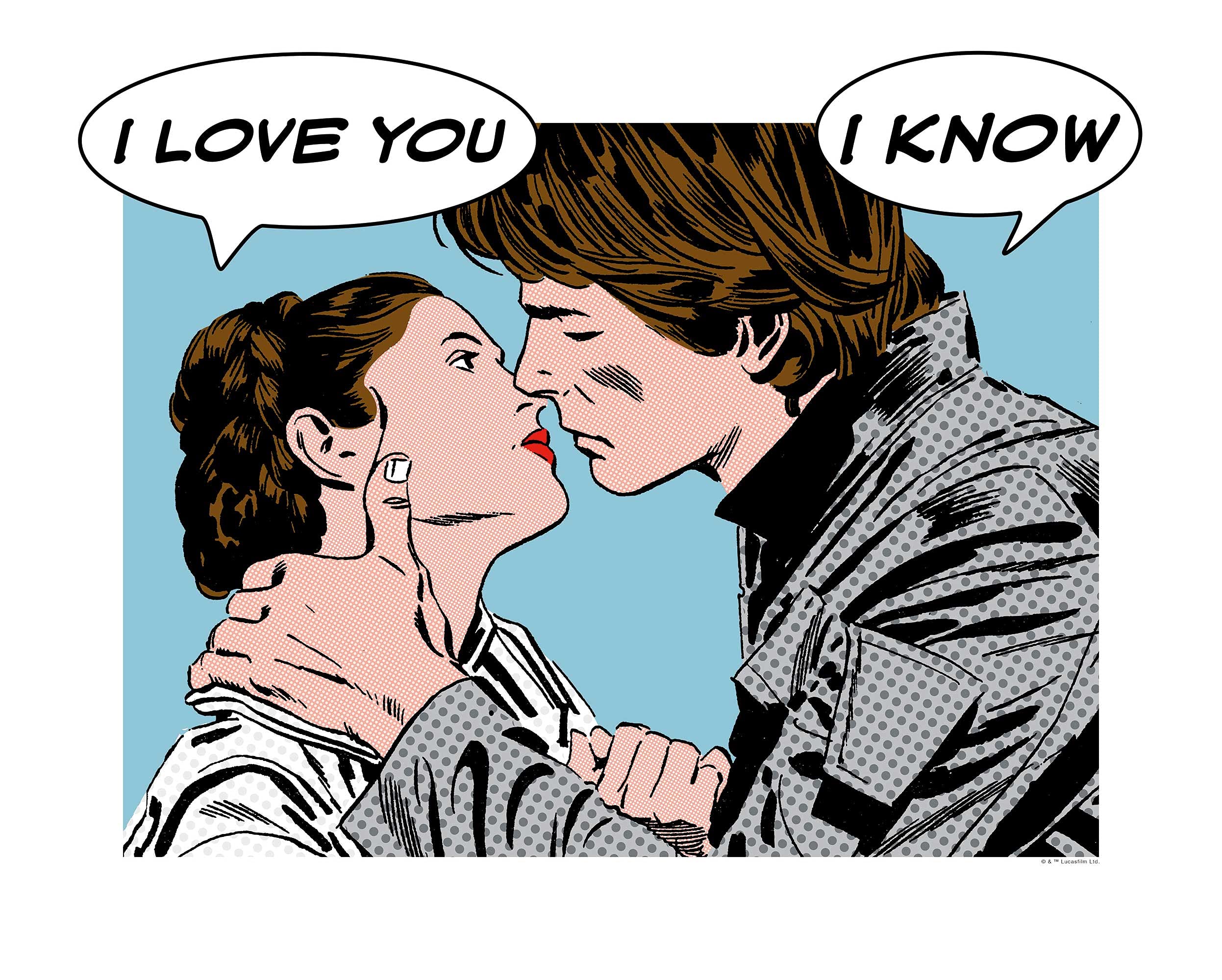 Komar Wall Picture Star Wars Classic Comic Quote Leia Han Children's Room Decoration Art Print Without Frame Available in 3 Sizes, Colourful, WB117-50x40