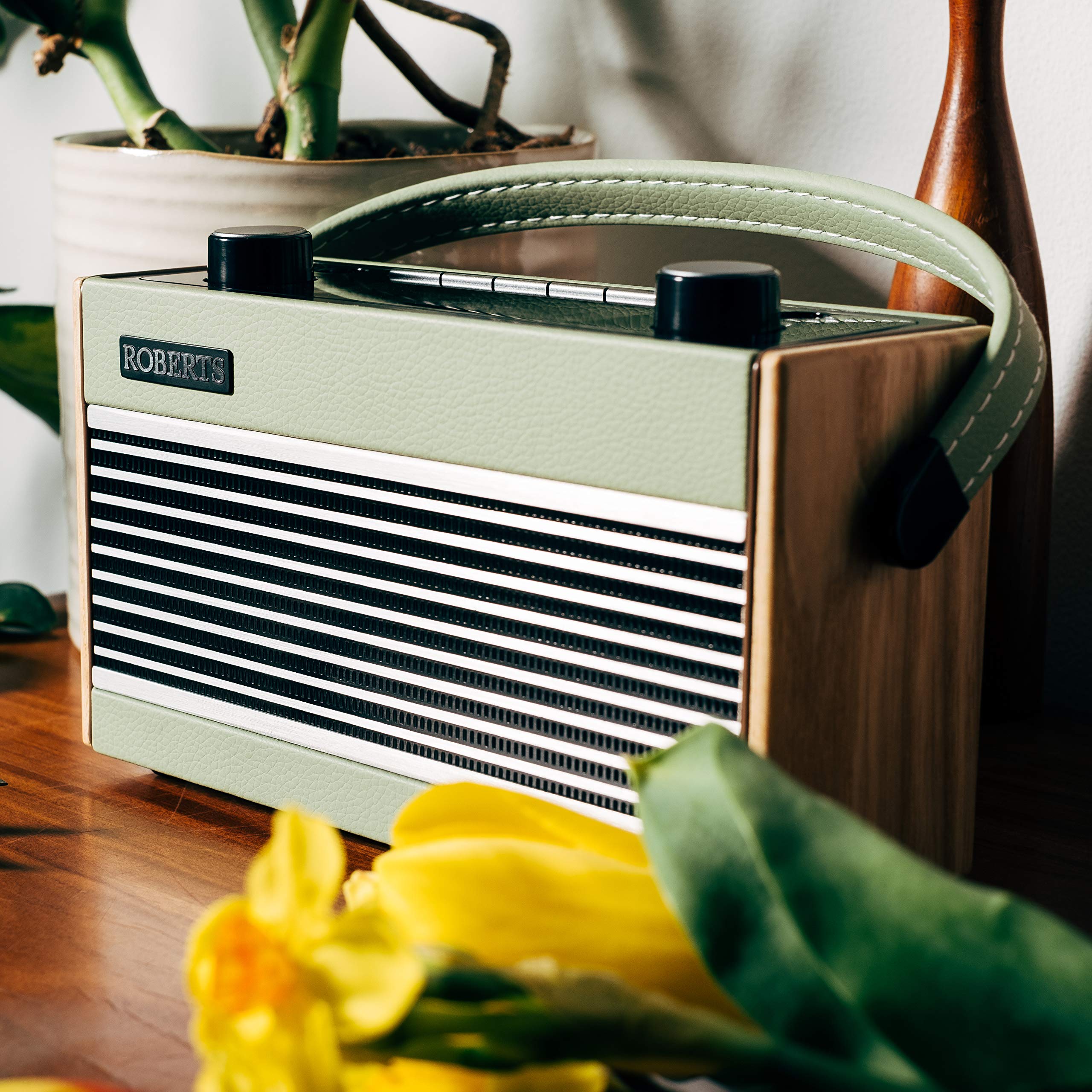 Roberts Rambler BT Retro/Digitales Bluetooth-Radio mit DAB/DAB+/FM-RDS-Wellenbändern, Grün