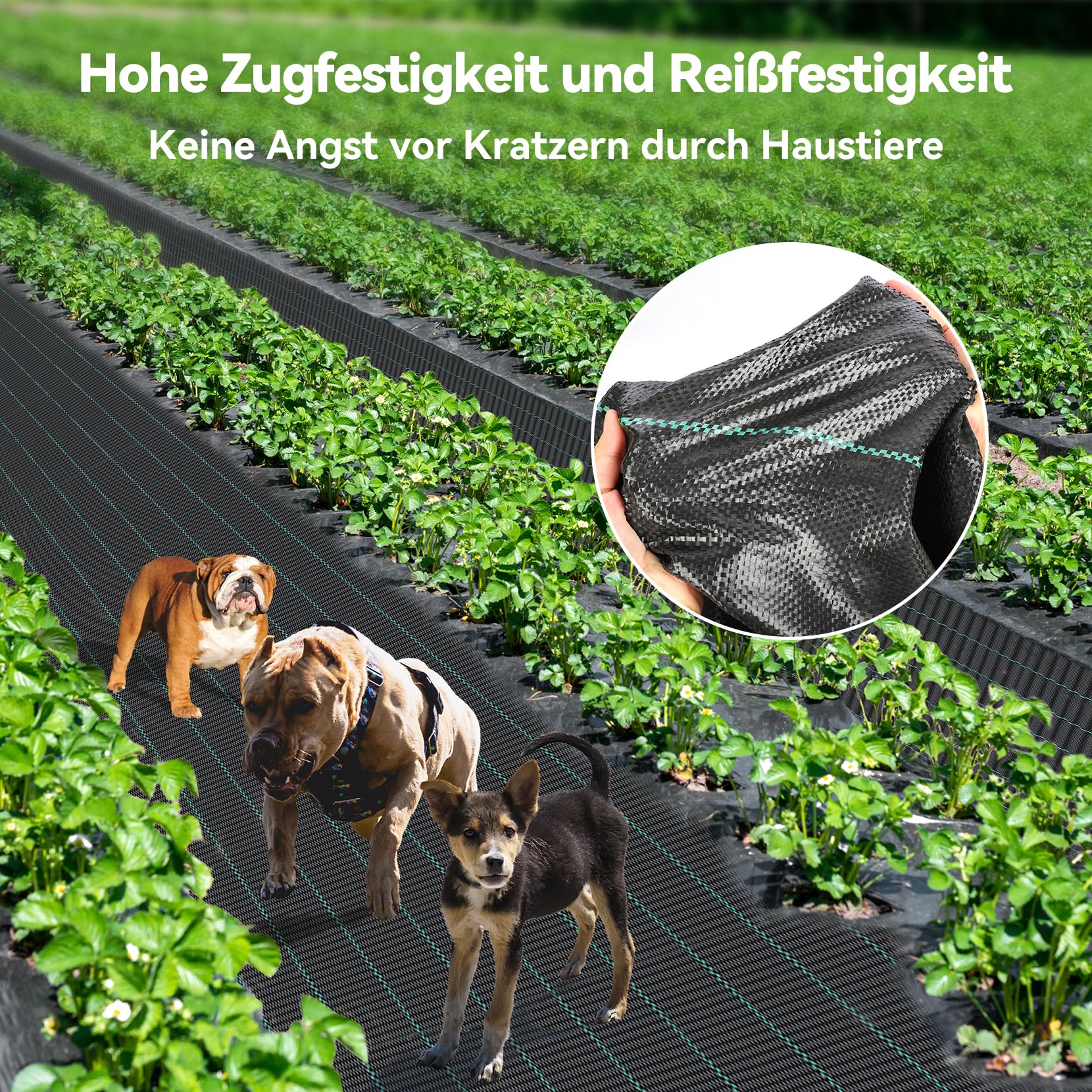 iropro Unkrautvlies Gartenvlies 3m x 10m,30m² Unkrautflies für Garten Unkrautfolie Wasserdurchlässig 90g/m² Reißfestes Unkrautgewebe Rolle Unkrautfolie,Anti Repousse,Hohe UV-Stabilisierung