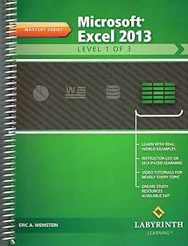 MICROSOFT EXCEL 2013:LEVEL 1 O: Eric A. Weinstein: 9781591364917