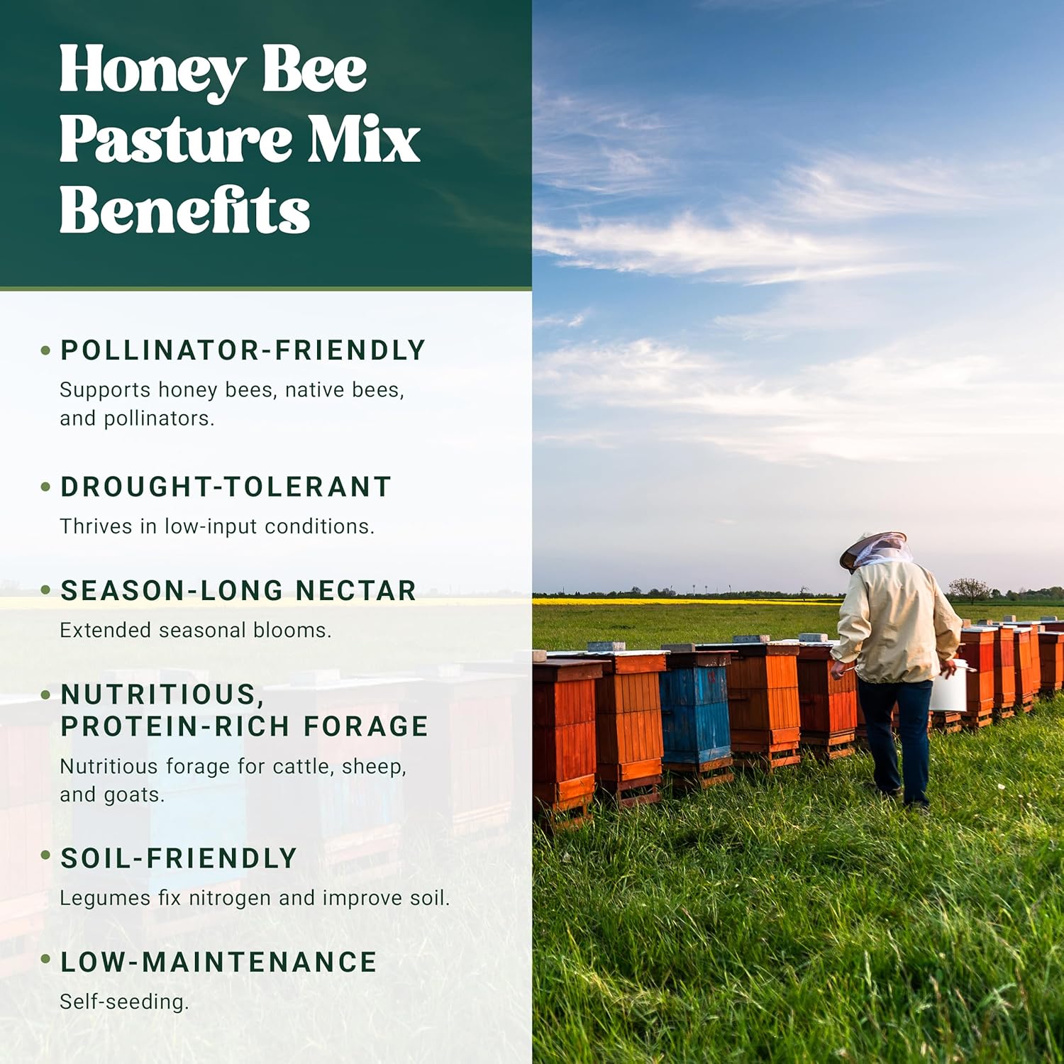 Nature's Seed Honey Bee Pasture Seed Mix, Multi-Season Bloom, Legume and Wildflower Pollinator Attracting Flowering Garden Blend, 5 Lbs