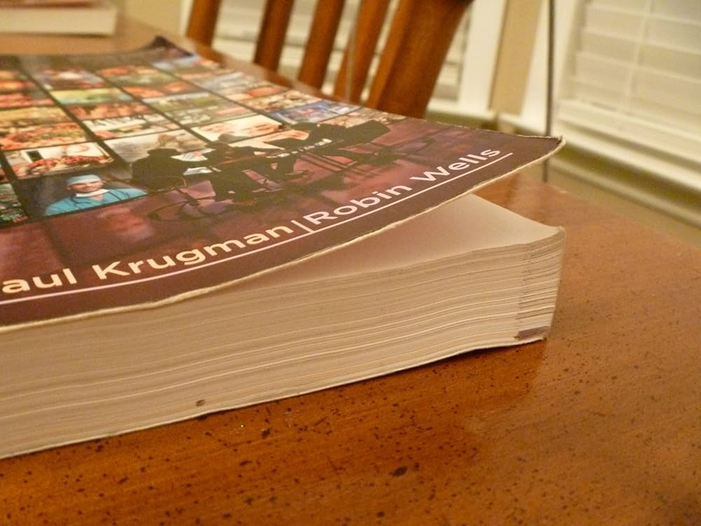 洋書 Macroeconomics Second Edition 81jThGPe1eL._UF350,350_QL80_.jpg